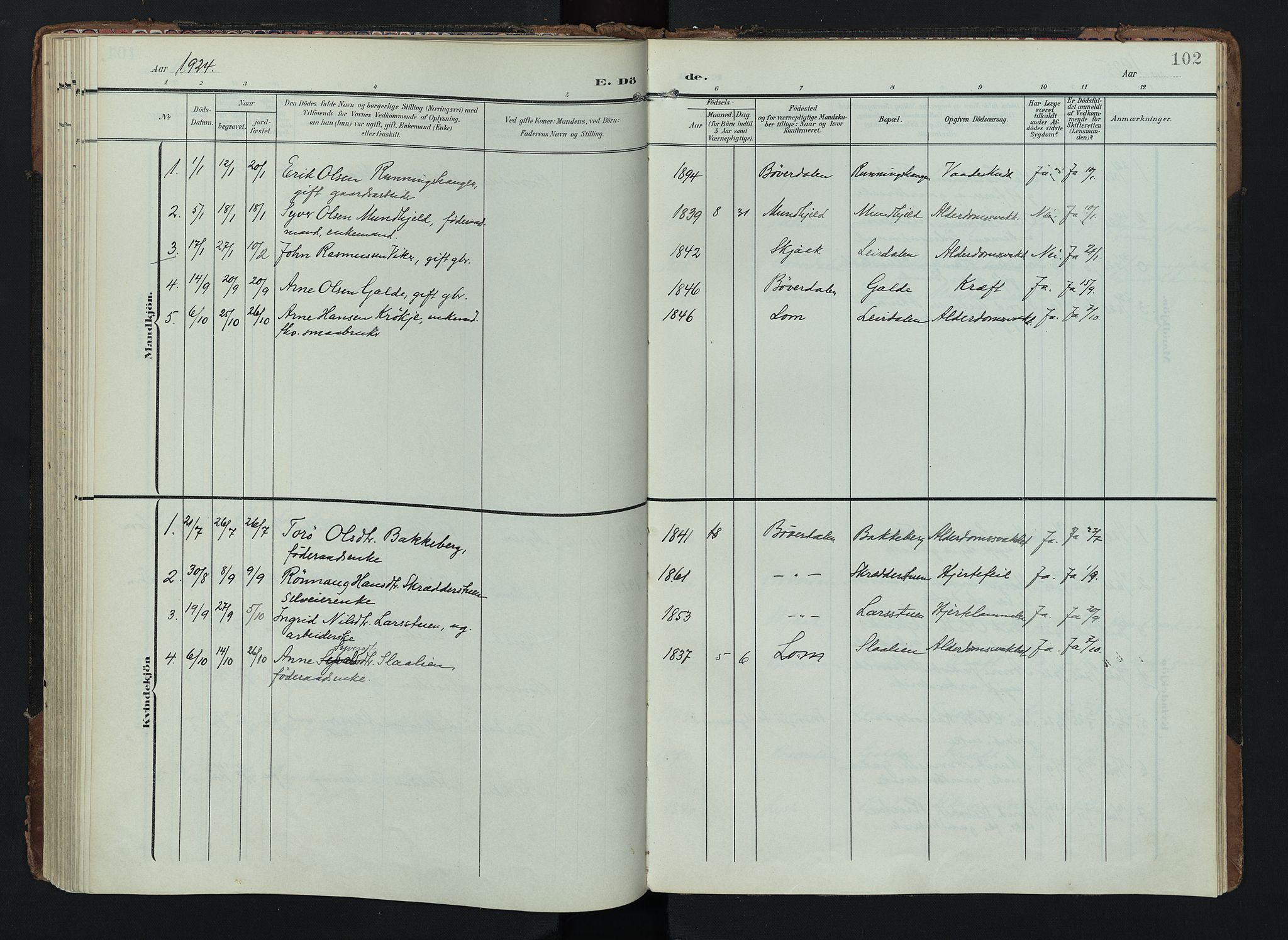 Lom prestekontor, SAH/PREST-070/K/L0012: Parish register (official) no. 12, 1904-1928, p. 102