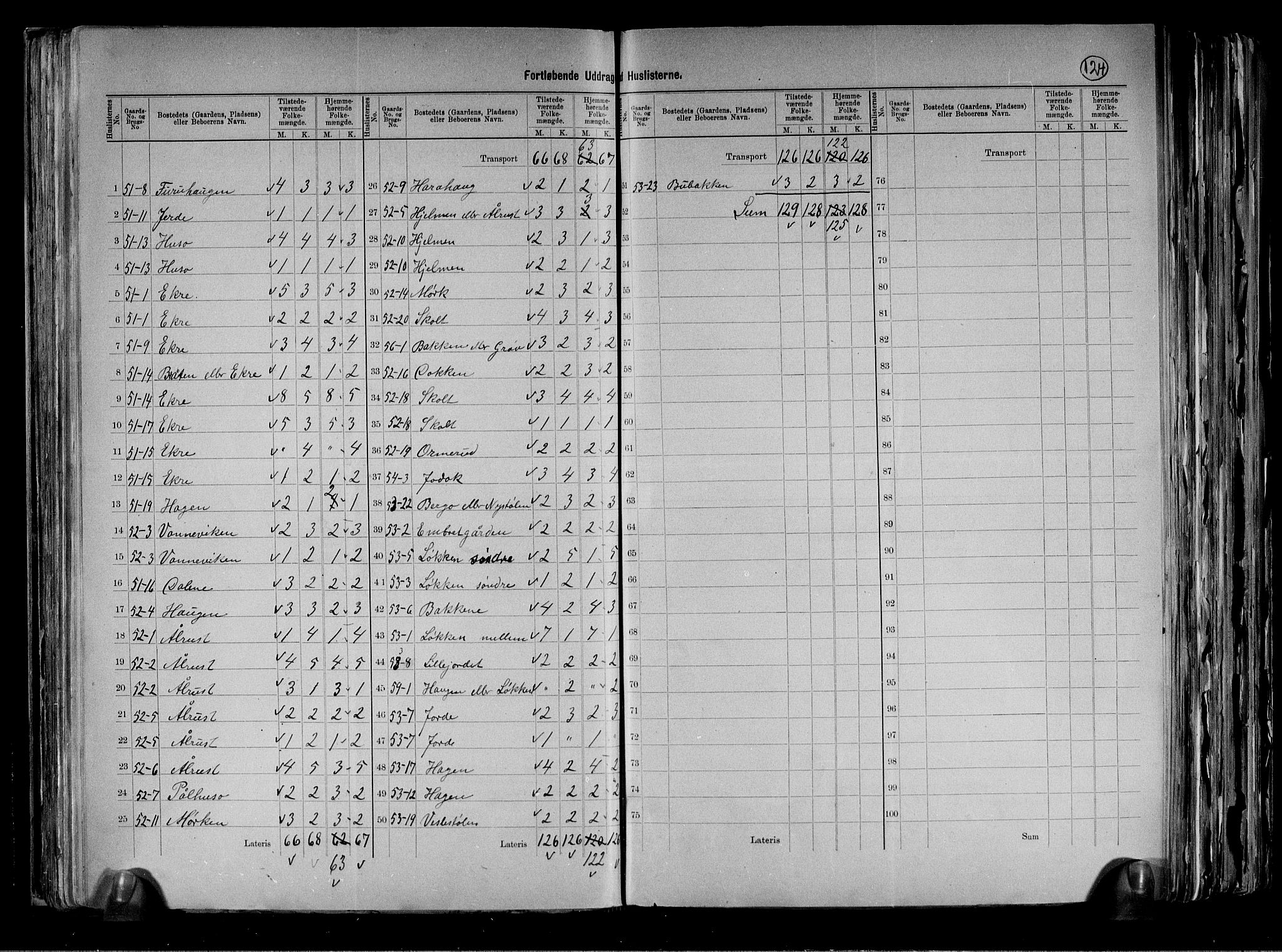 RA, 1891 census for 0617 Gol og Hemsedal, 1891, p. 19