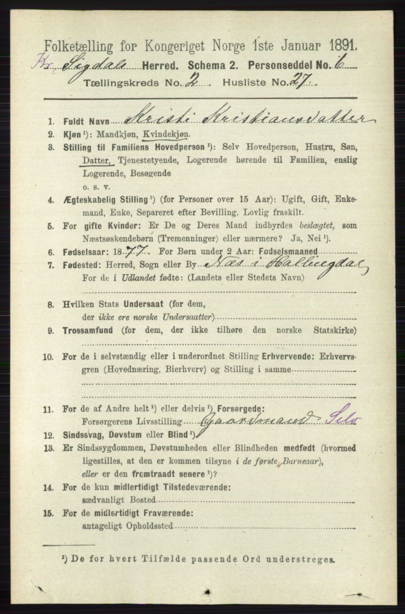 RA, 1891 census for 0621 Sigdal, 1891, p. 5502