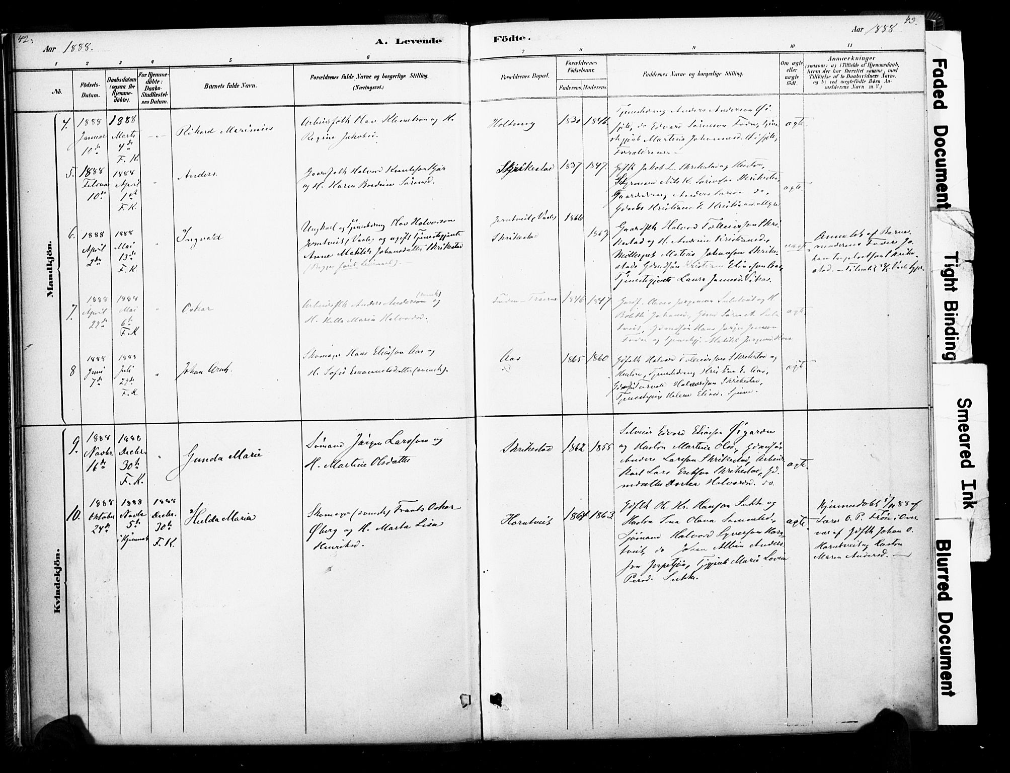 Ramnes kirkebøker, SAKO/A-314/F/Fb/L0001: Parish register (official) no. II 1, 1878-1894, p. 42-43