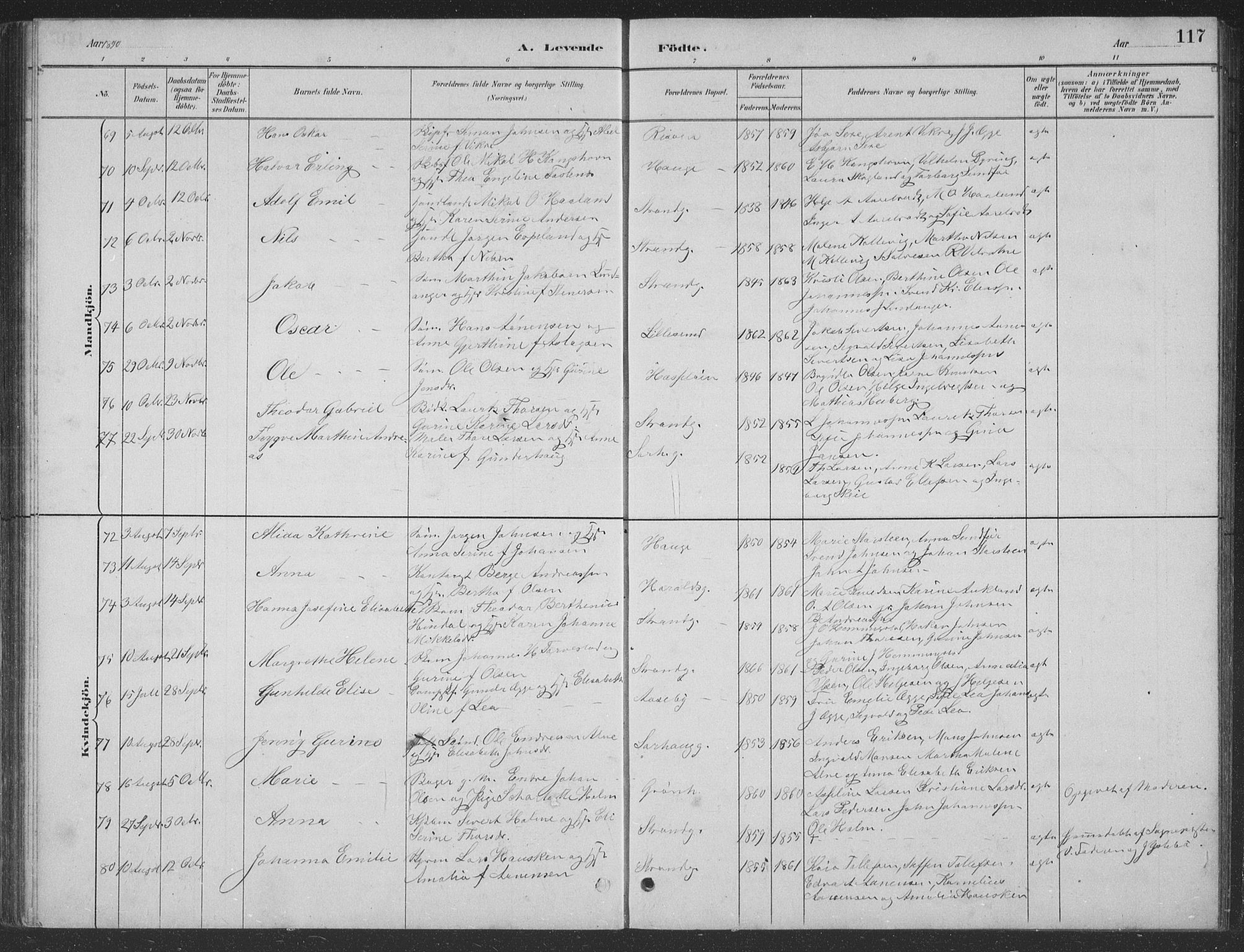 Haugesund sokneprestkontor, AV/SAST-A -101863/H/Ha/Hab/L0002: Parish register (copy) no. B 2, 1881-1894, p. 117