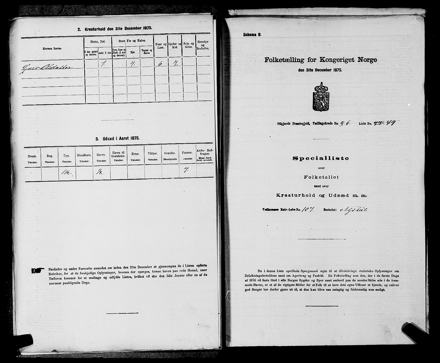 SAKO, 1875 census for 0828P Seljord, 1875, p. 810