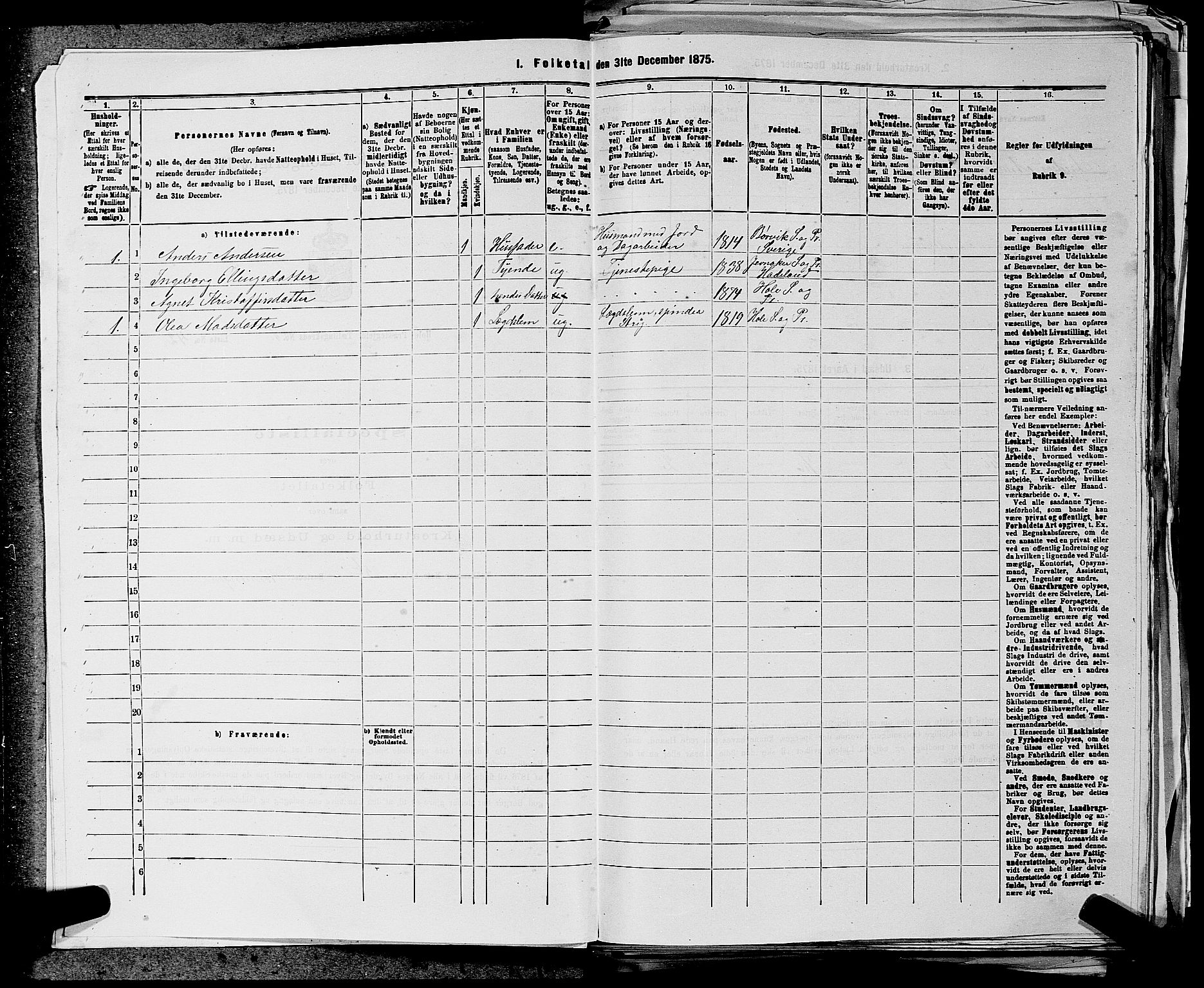 SAKO, 1875 census for 0612P Hole, 1875, p. 65