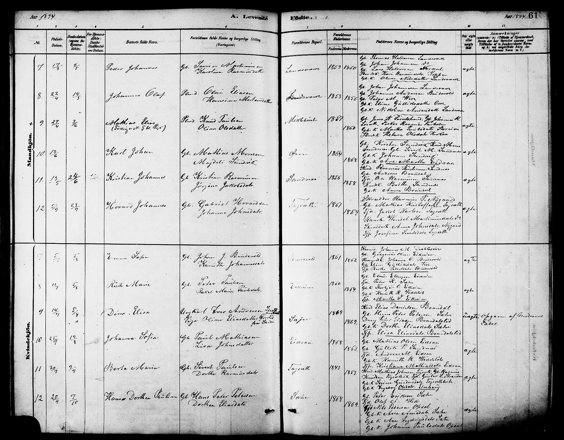 Ministerialprotokoller, klokkerbøker og fødselsregistre - Møre og Romsdal, AV/SAT-A-1454/502/L0027: Parish register (copy) no. 502C01, 1878-1908, p. 61