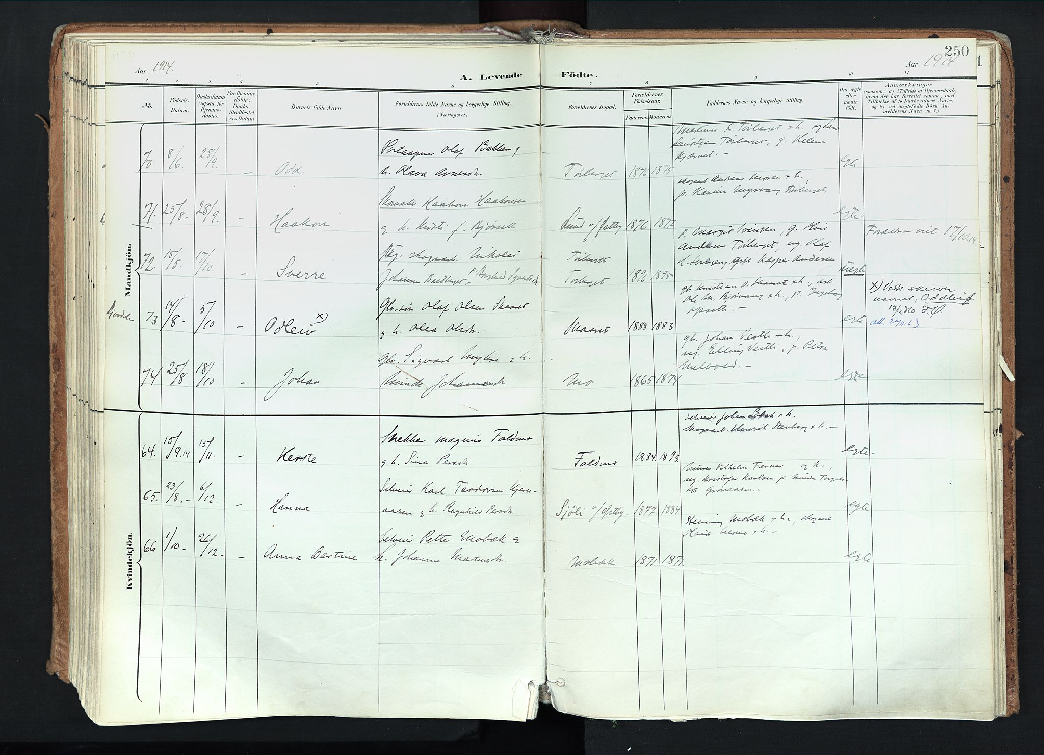 Trysil prestekontor, AV/SAH-PREST-046/H/Ha/Haa/L0012: Parish register (official) no. 12, 1898-1917, p. 250