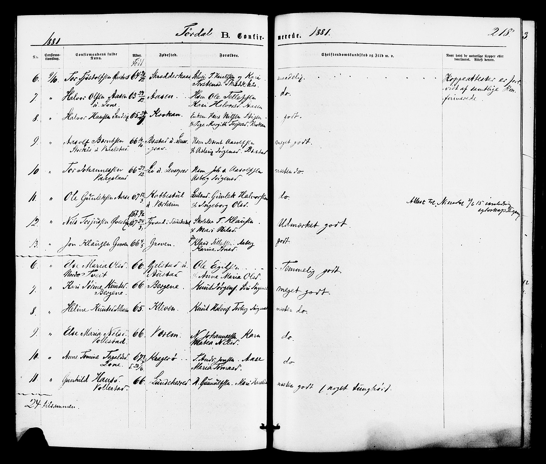 Drangedal kirkebøker, SAKO/A-258/F/Fa/L0009: Parish register (official) no. 9 /2, 1872-1884, p. 218
