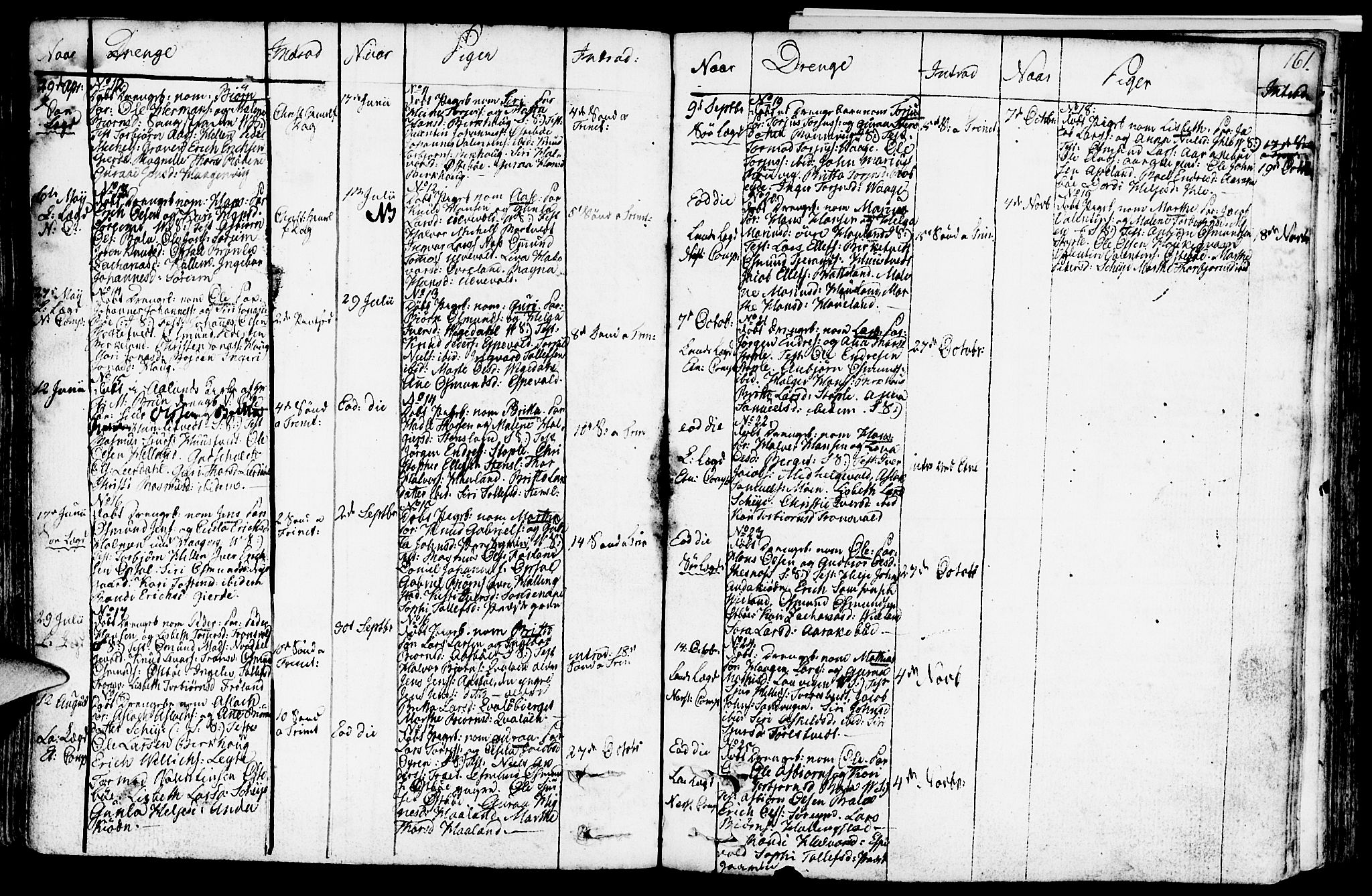 Vikedal sokneprestkontor, SAST/A-101840/01/IV: Parish register (official) no. A 2, 1779-1817, p. 161