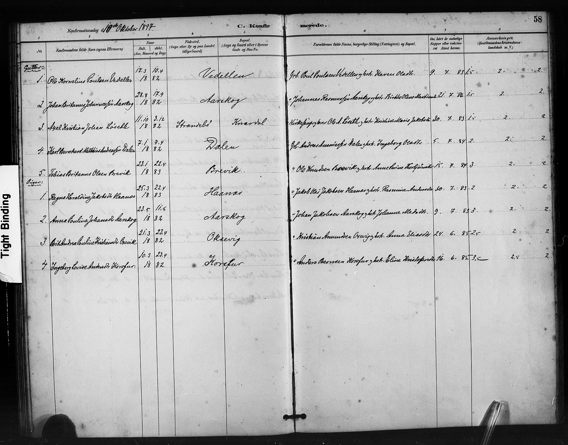 Ministerialprotokoller, klokkerbøker og fødselsregistre - Møre og Romsdal, AV/SAT-A-1454/504/L0056: Parish register (official) no. 504A03, 1884-1904, p. 58