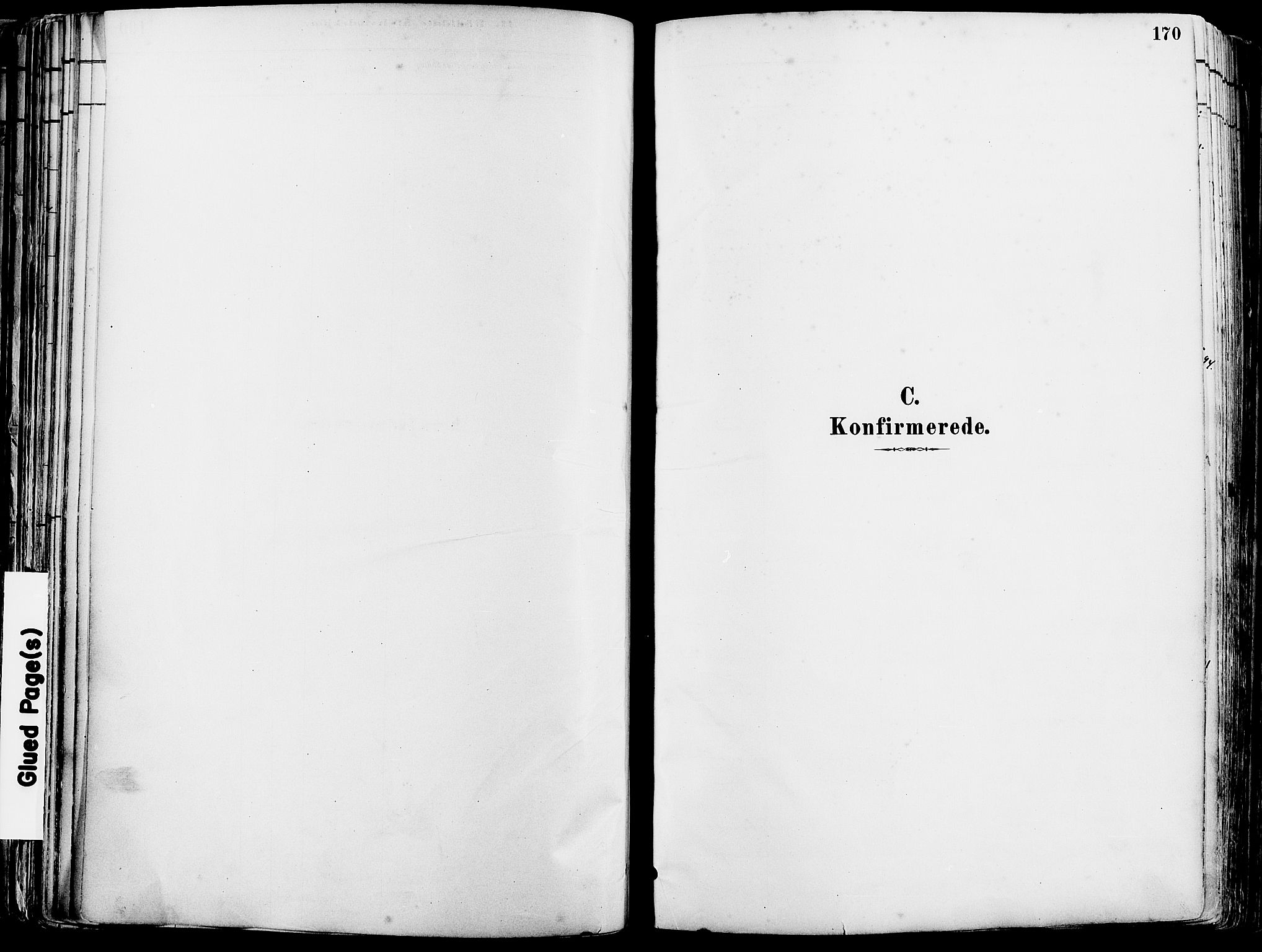 Grue prestekontor, SAH/PREST-036/H/Ha/Haa/L0012: Parish register (official) no. 12, 1881-1897, p. 170