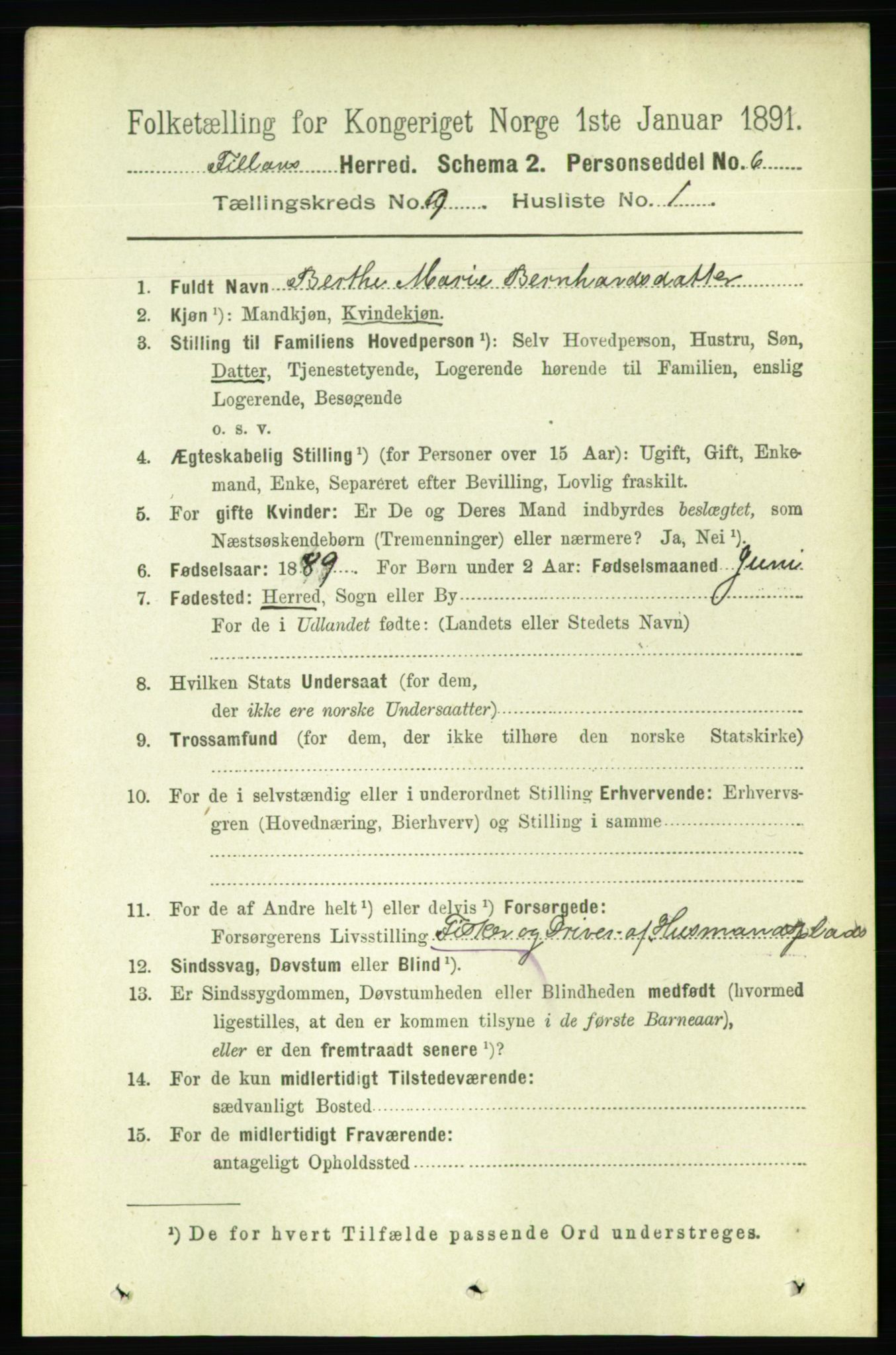 RA, 1891 census for 1616 Fillan, 1891, p. 2029