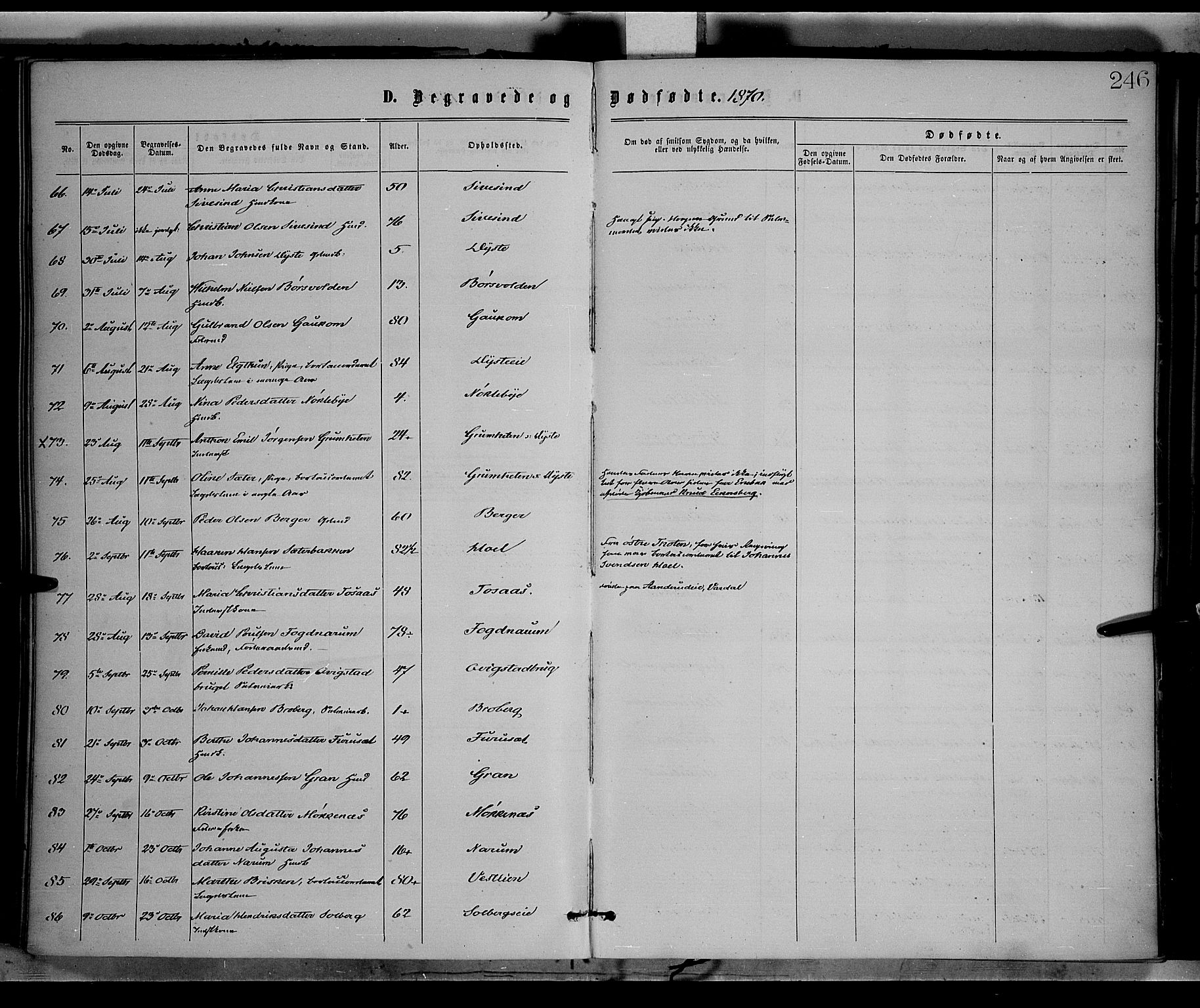 Vestre Toten prestekontor, AV/SAH-PREST-108/H/Ha/Haa/L0008: Parish register (official) no. 8, 1870-1877, p. 246