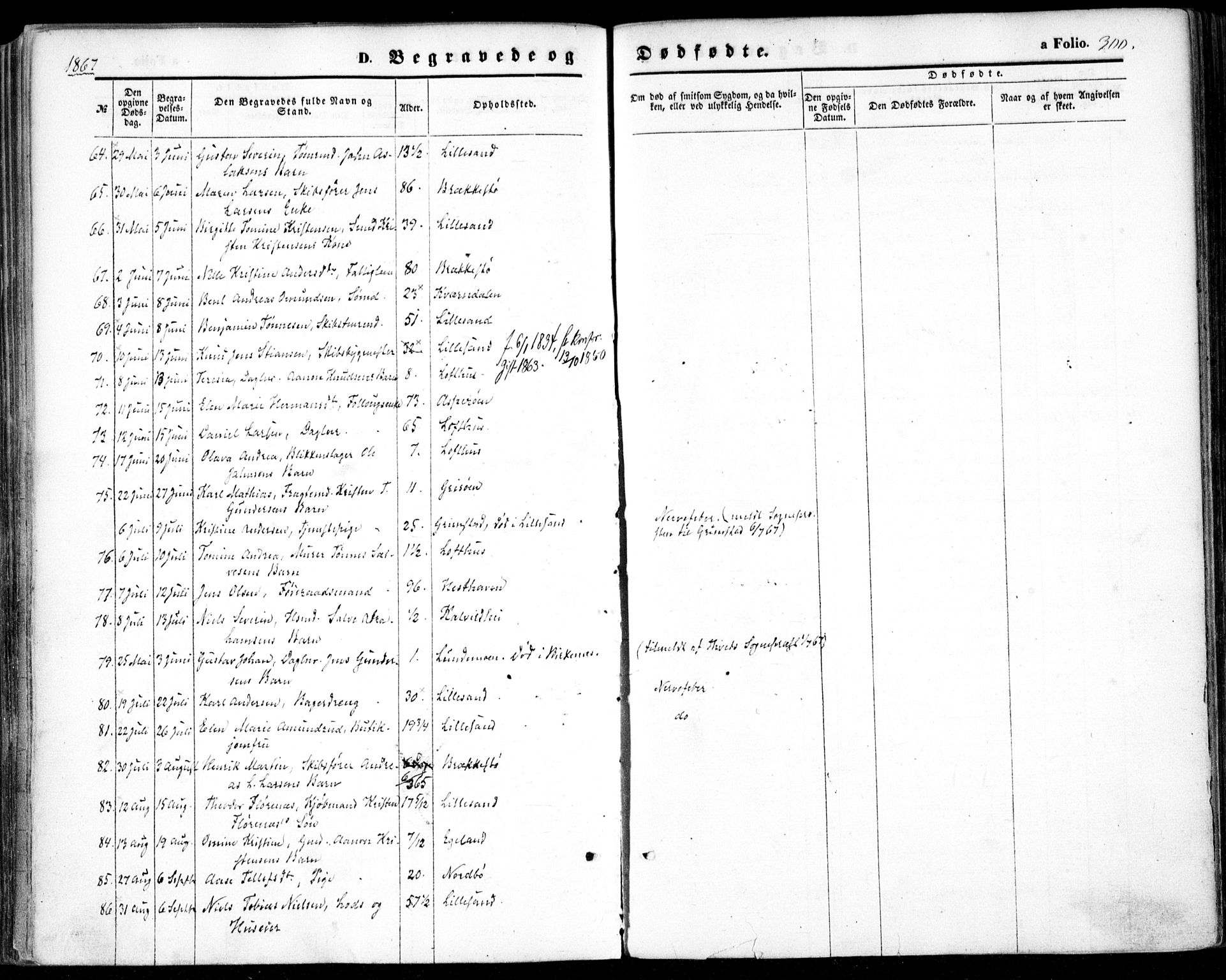 Vestre Moland sokneprestkontor, AV/SAK-1111-0046/F/Fa/Fab/L0007: Parish register (official) no. A 7, 1859-1872, p. 300