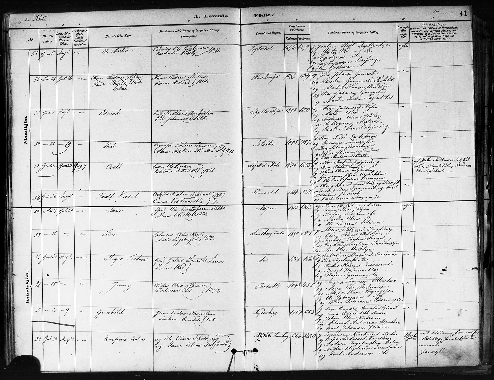 Nes prestekontor Kirkebøker, SAO/A-10410/F/Fa/L0010: Parish register (official) no. I 10, 1883-1898, p. 41