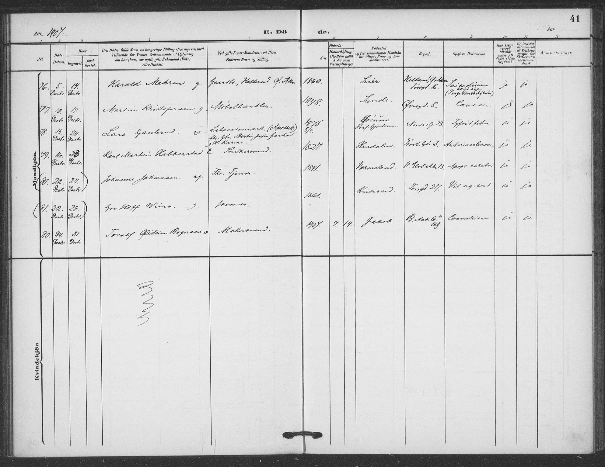 Jakob prestekontor Kirkebøker, SAO/A-10850/F/Fa/L0011: Parish register (official) no. 11, 1906-1920, p. 41