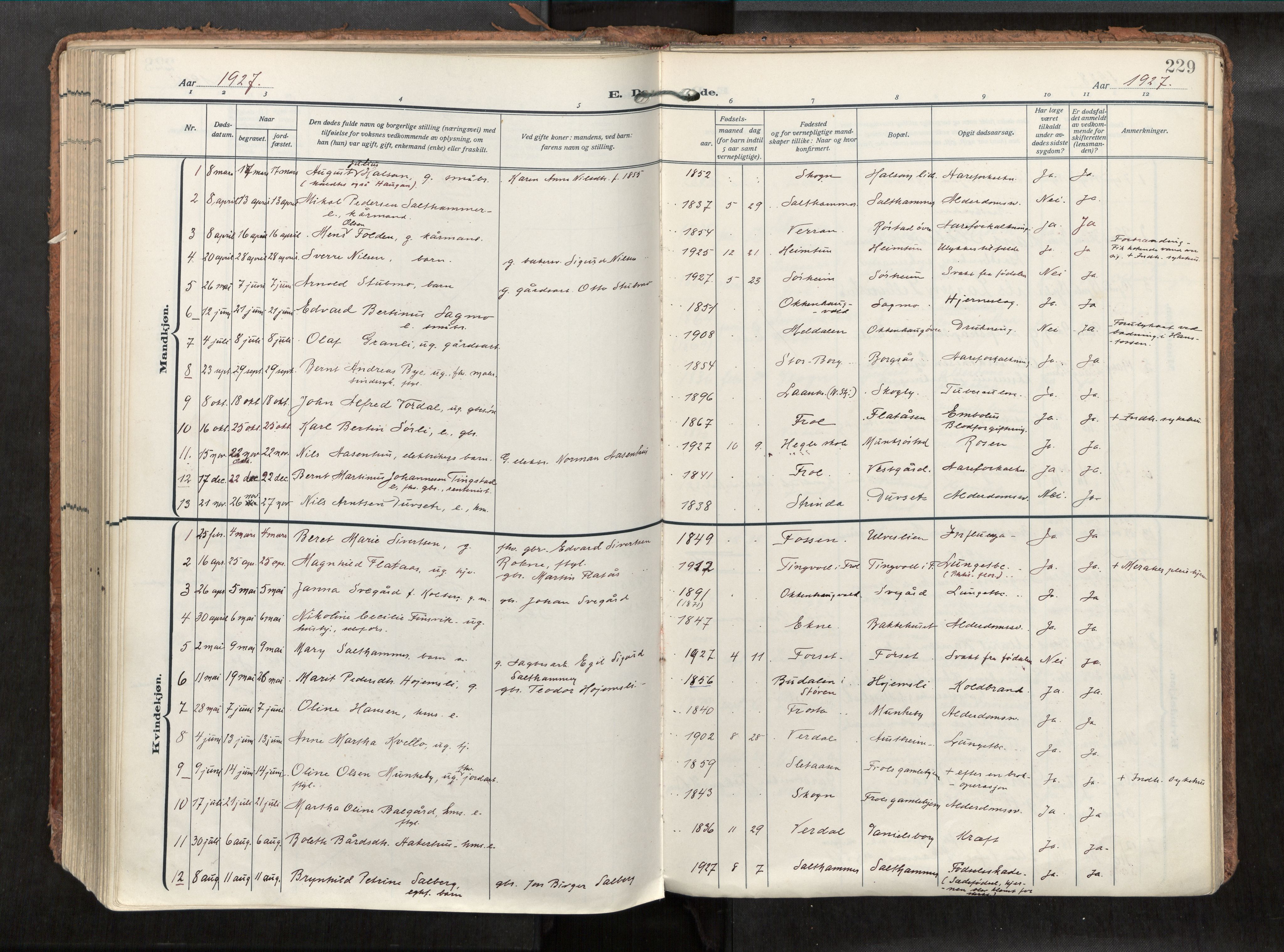 Levanger sokneprestkontor, SAT/A-1301/2/H/Haa/L0002: Parish register (official) no. 2, 1912-1935, p. 229