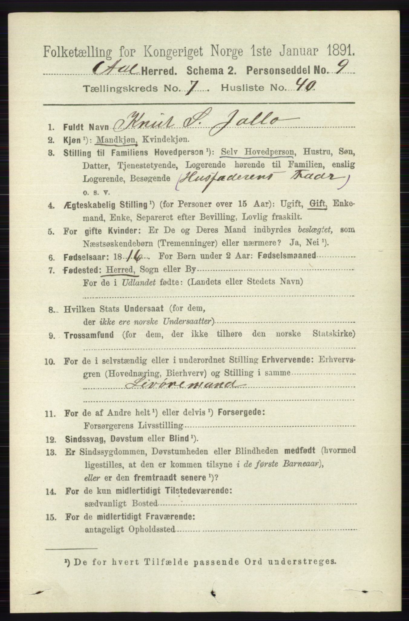 RA, 1891 census for 0619 Ål, 1891, p. 2012