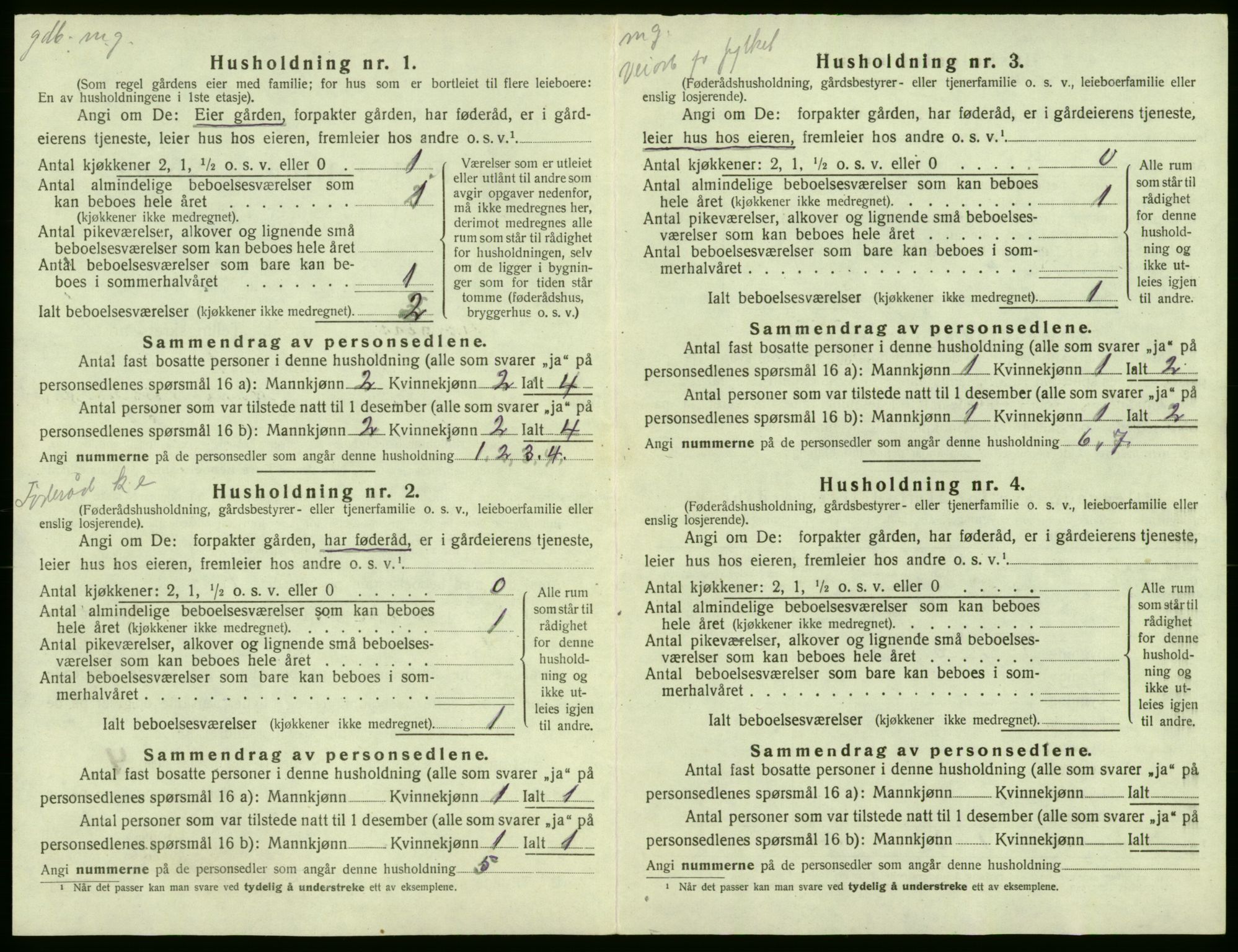 SAB, 1920 census for Røldal, 1920, p. 22