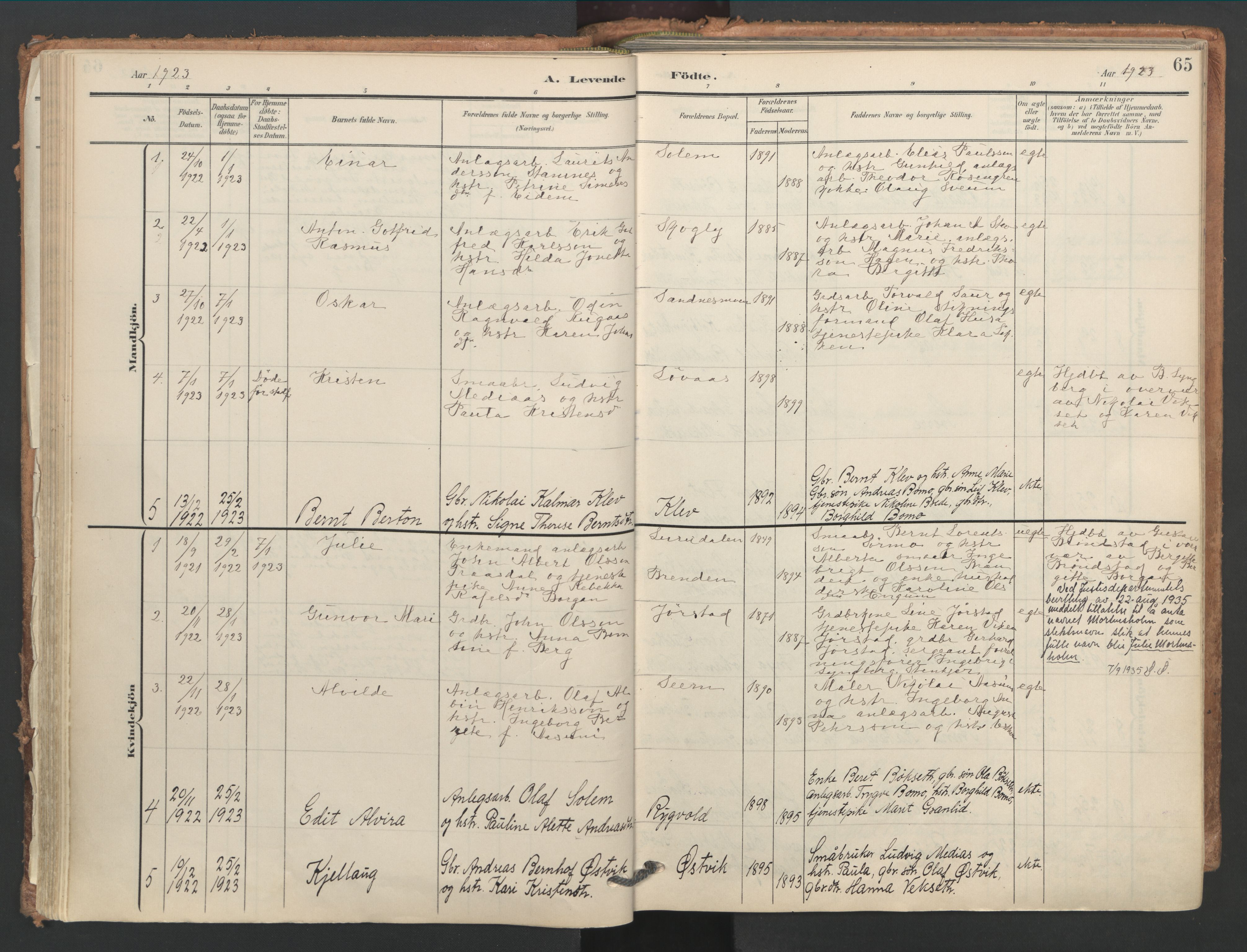 Ministerialprotokoller, klokkerbøker og fødselsregistre - Nord-Trøndelag, AV/SAT-A-1458/749/L0477: Parish register (official) no. 749A11, 1902-1927, p. 65