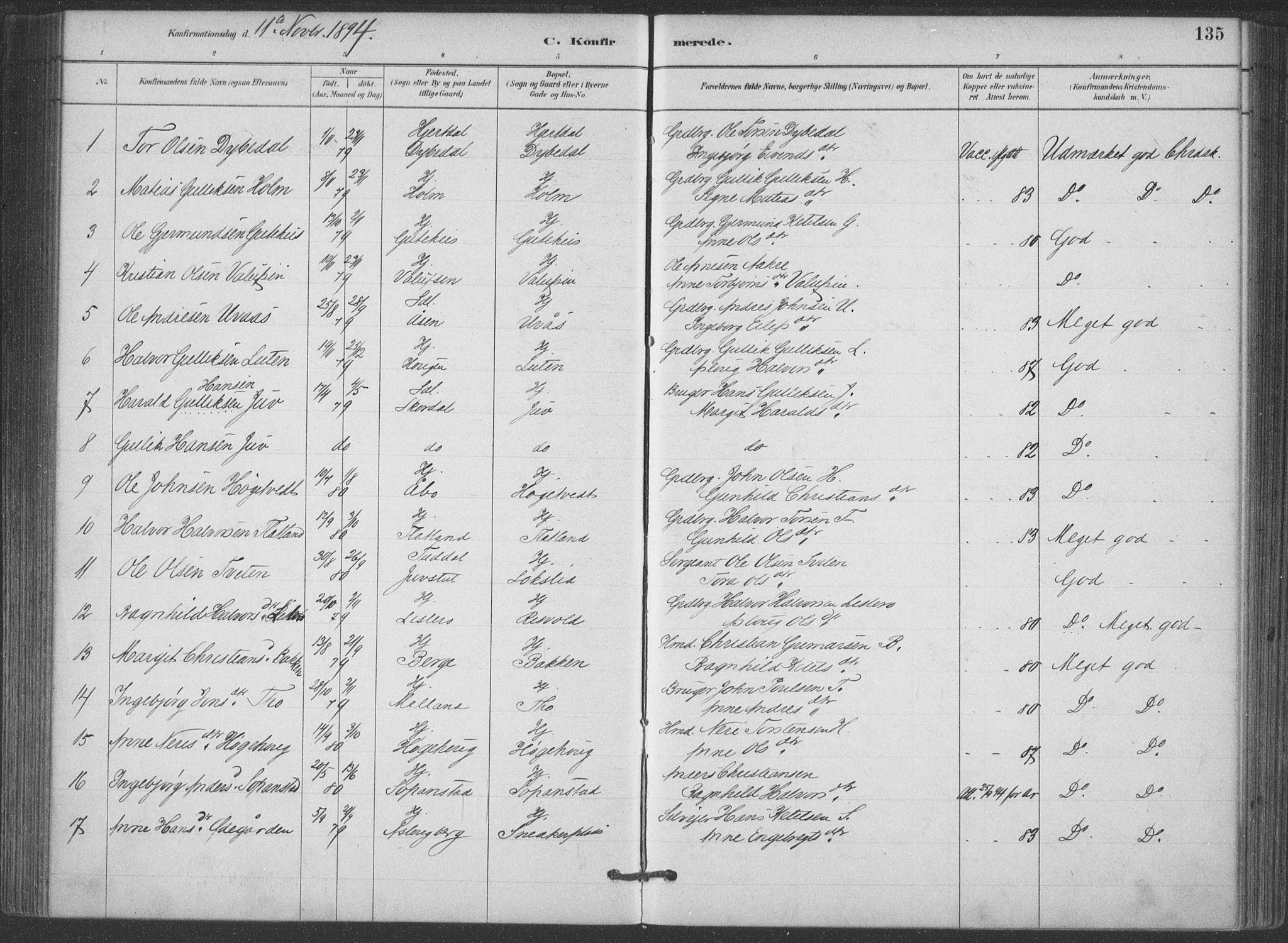 Hjartdal kirkebøker, SAKO/A-270/F/Fa/L0010: Parish register (official) no. I 10, 1880-1929, p. 135