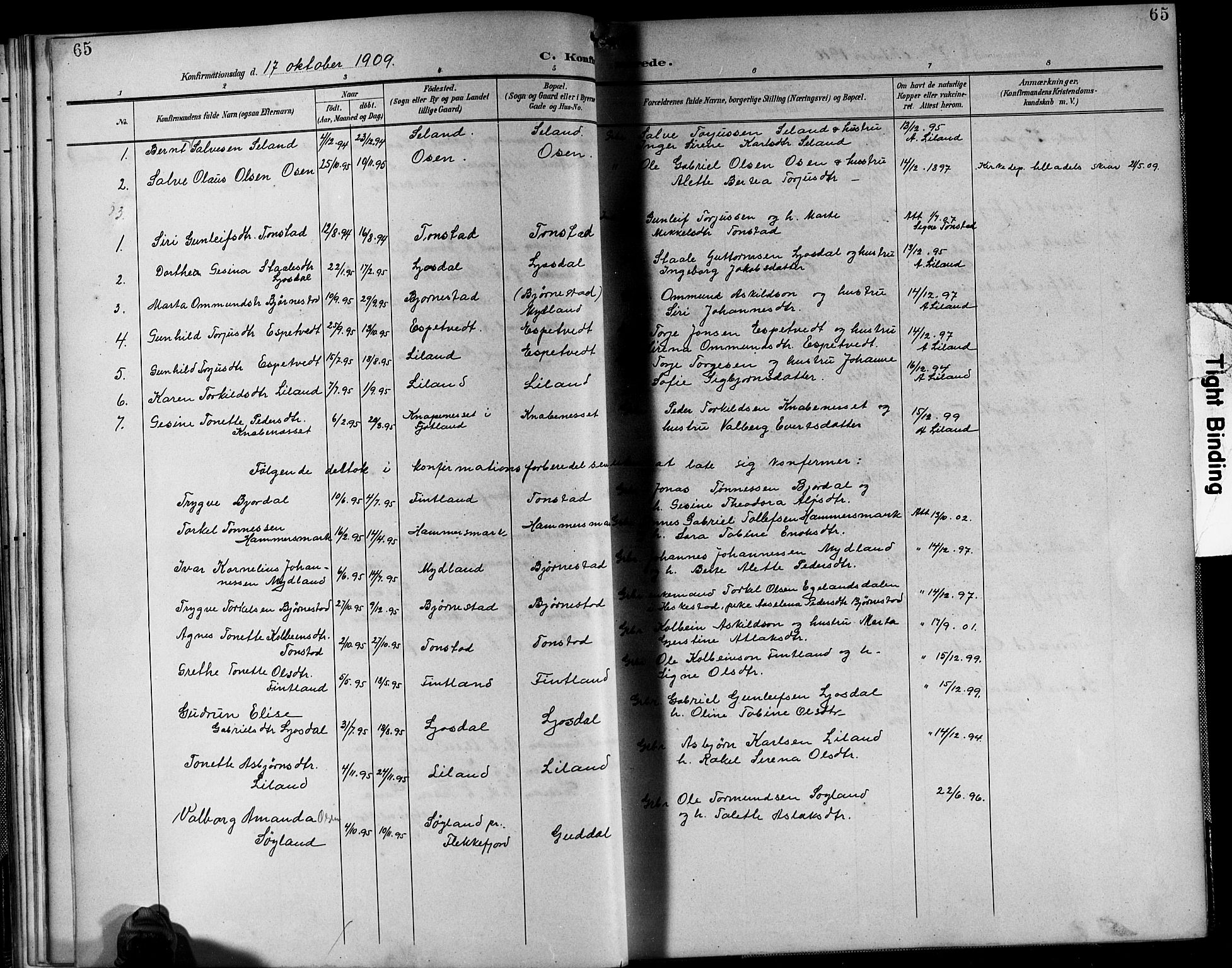 Sirdal sokneprestkontor, SAK/1111-0036/F/Fb/Fbb/L0004: Parish register (copy) no. B 4, 1895-1916, p. 65