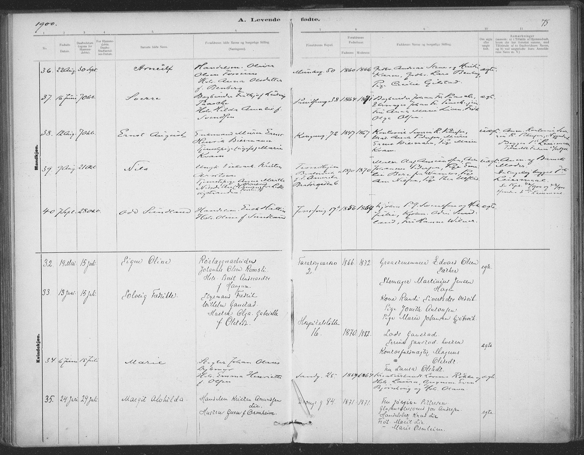 Ministerialprotokoller, klokkerbøker og fødselsregistre - Sør-Trøndelag, AV/SAT-A-1456/602/L0122: Parish register (official) no. 602A20, 1892-1908, p. 75