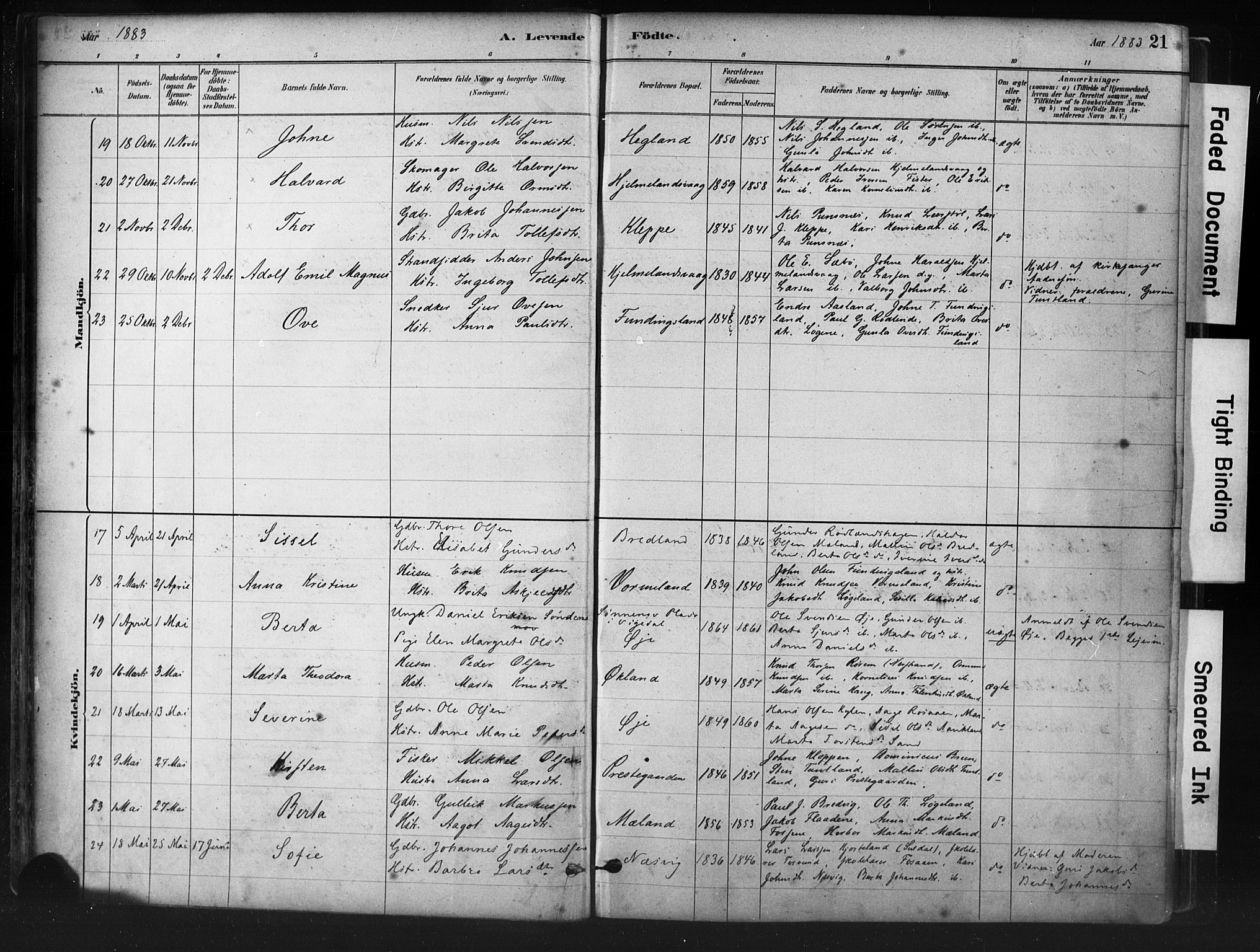 Hjelmeland sokneprestkontor, AV/SAST-A-101843/01/IV/L0014: Parish register (official) no. A 14, 1879-1900, p. 21