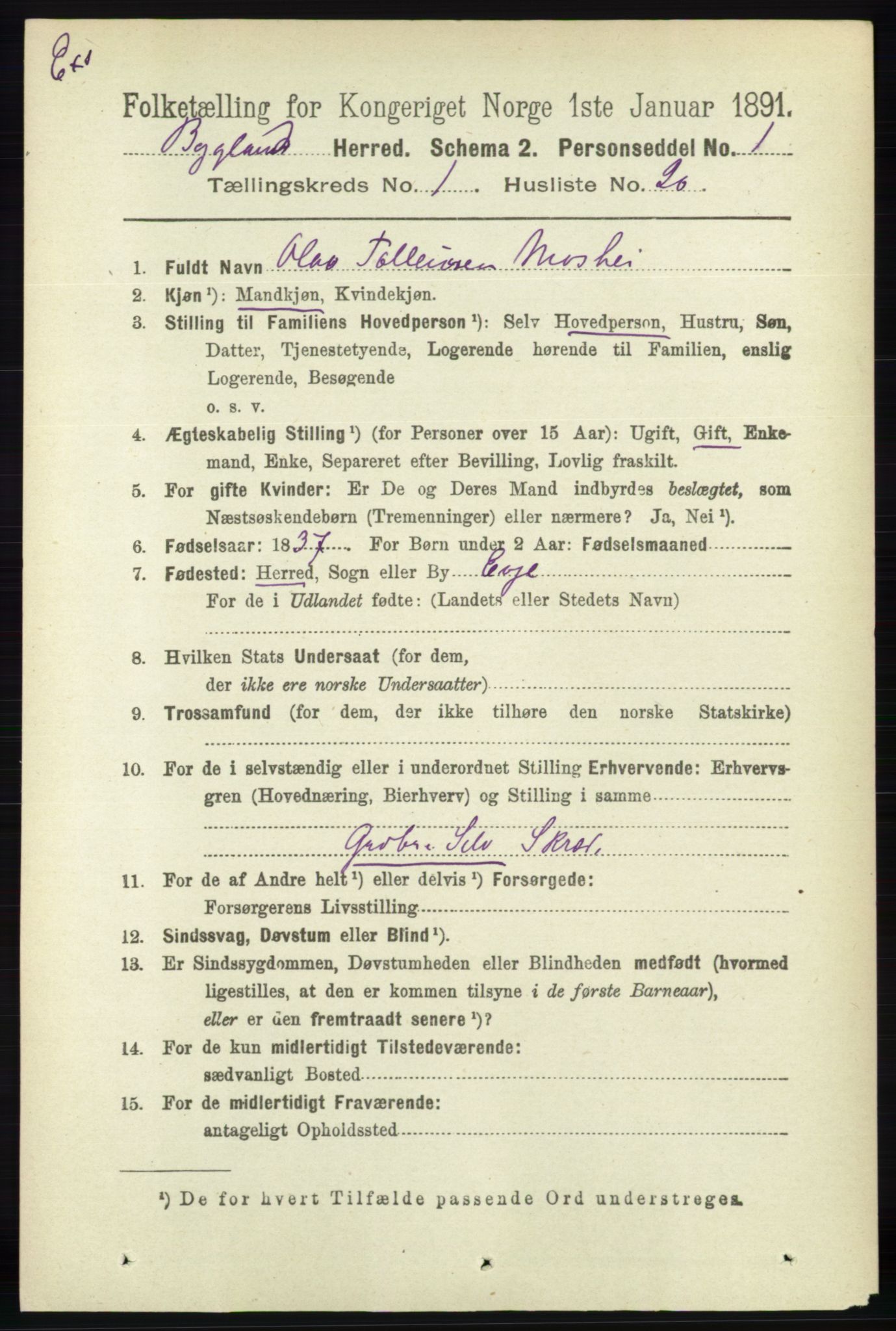 RA, Census 1891 for Nedenes amt: Gjenparter av personsedler for beslektede ektefeller, menn, 1891, p. 1015