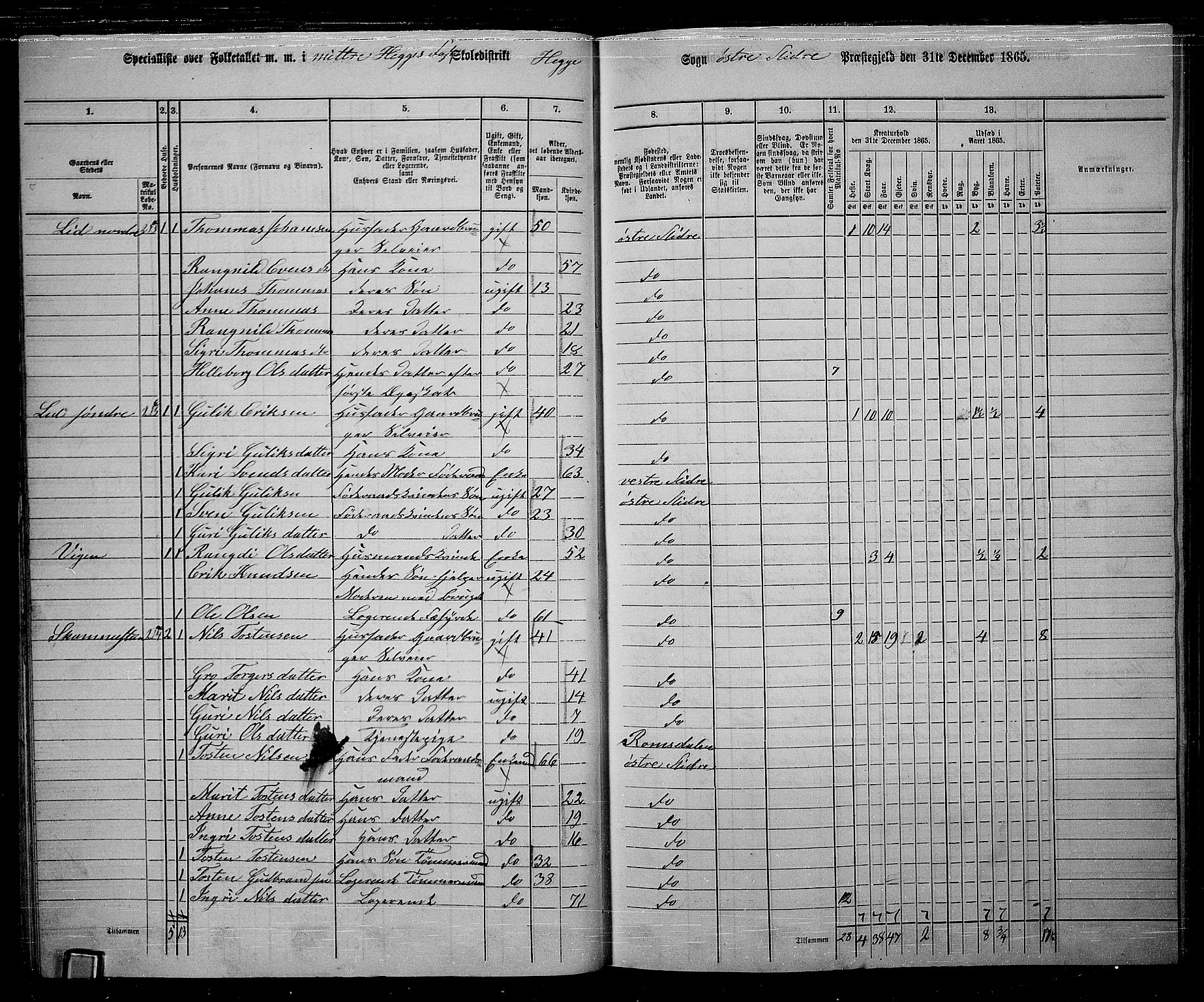 RA, 1865 census for Øystre Slidre, 1865, p. 29