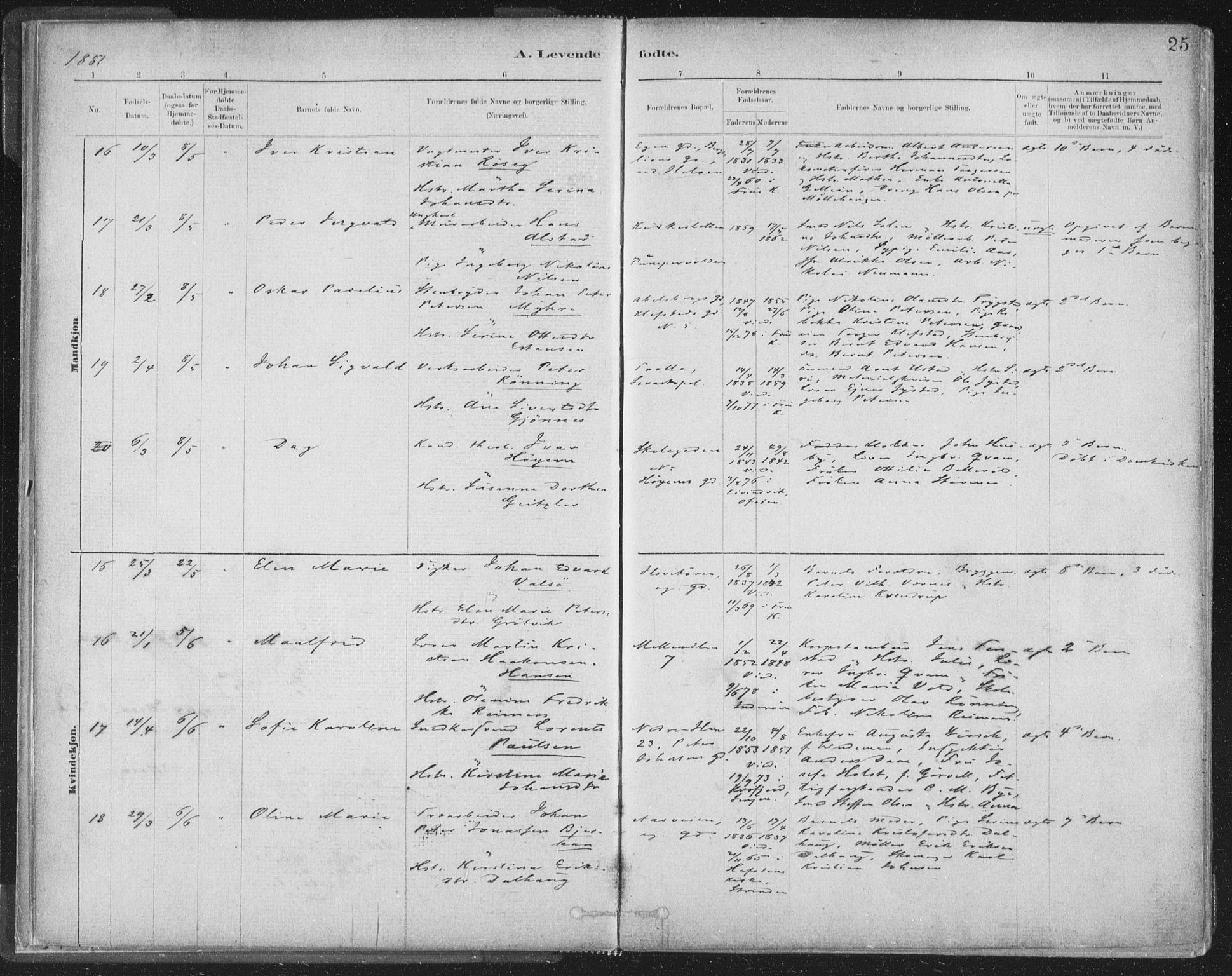 Ministerialprotokoller, klokkerbøker og fødselsregistre - Sør-Trøndelag, AV/SAT-A-1456/603/L0162: Parish register (official) no. 603A01, 1879-1895, p. 25