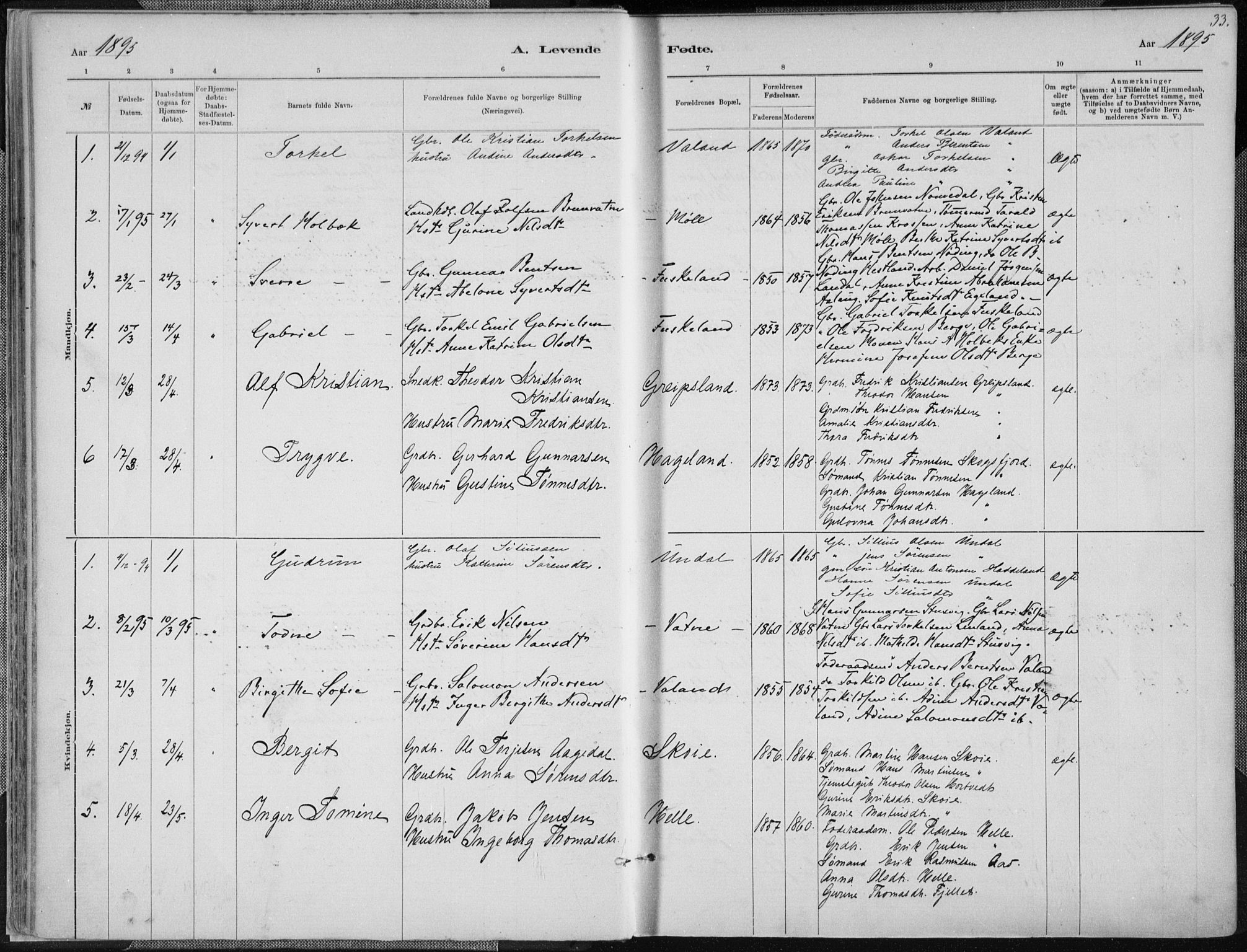 Holum sokneprestkontor, AV/SAK-1111-0022/F/Fa/Faa/L0007: Parish register (official) no. A 7, 1884-1907, p. 33