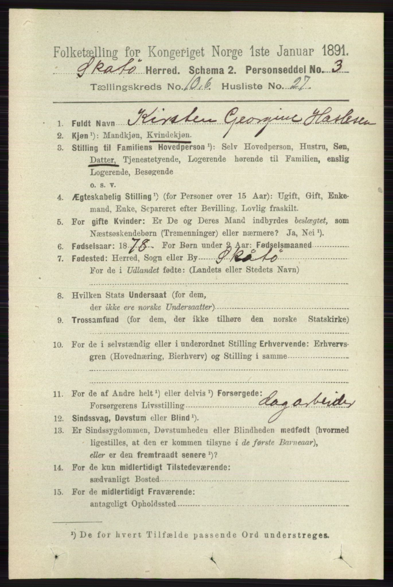 RA, 1891 census for 0815 Skåtøy, 1891, p. 4202