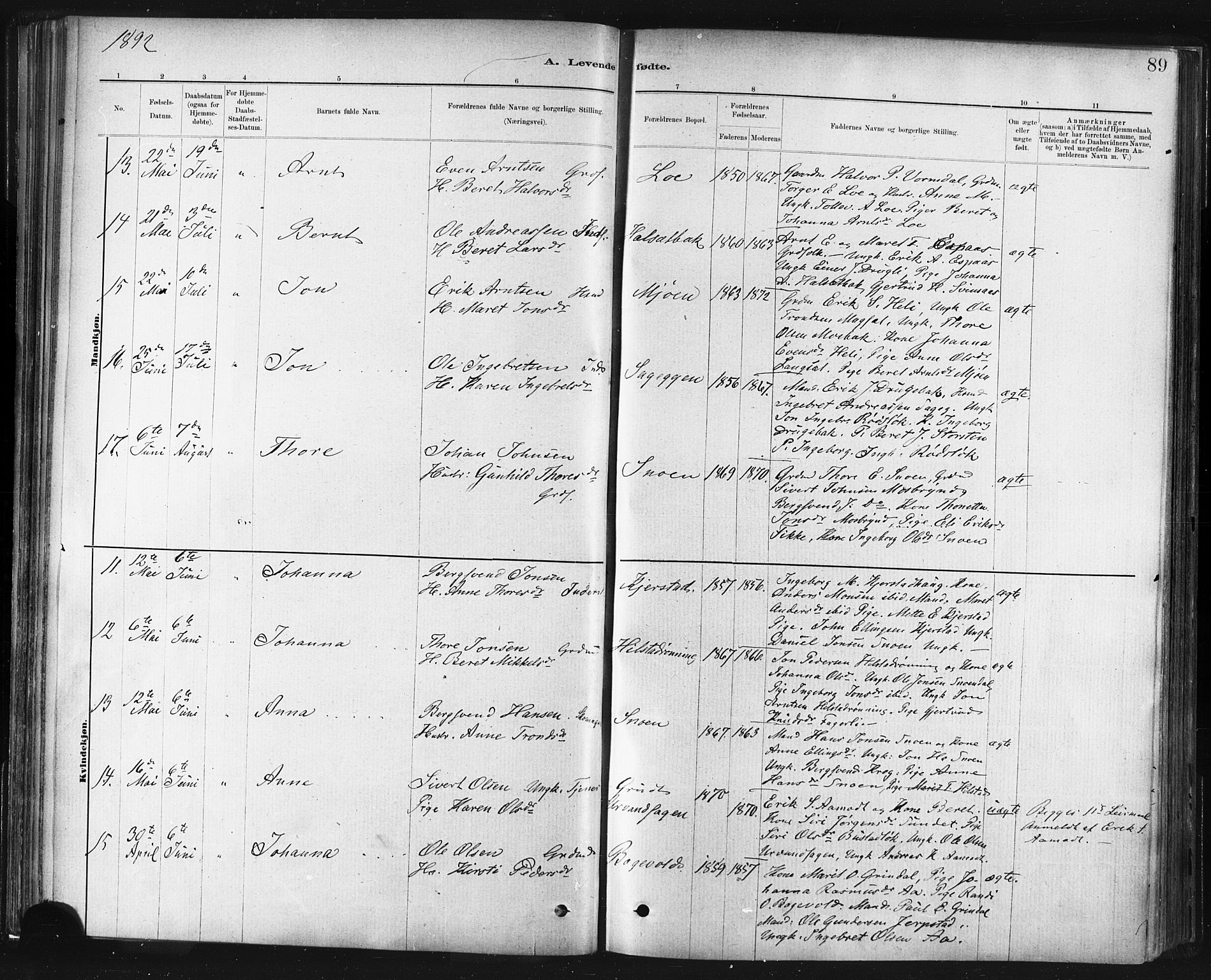 Ministerialprotokoller, klokkerbøker og fødselsregistre - Sør-Trøndelag, AV/SAT-A-1456/672/L0857: Parish register (official) no. 672A09, 1882-1893, p. 89