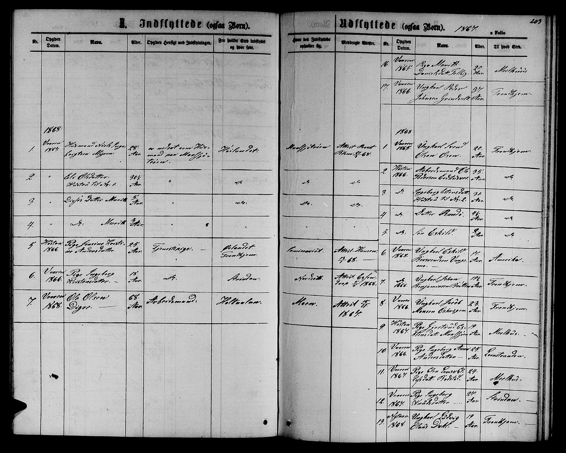 Ministerialprotokoller, klokkerbøker og fødselsregistre - Sør-Trøndelag, SAT/A-1456/618/L0451: Parish register (copy) no. 618C02, 1865-1883, p. 203