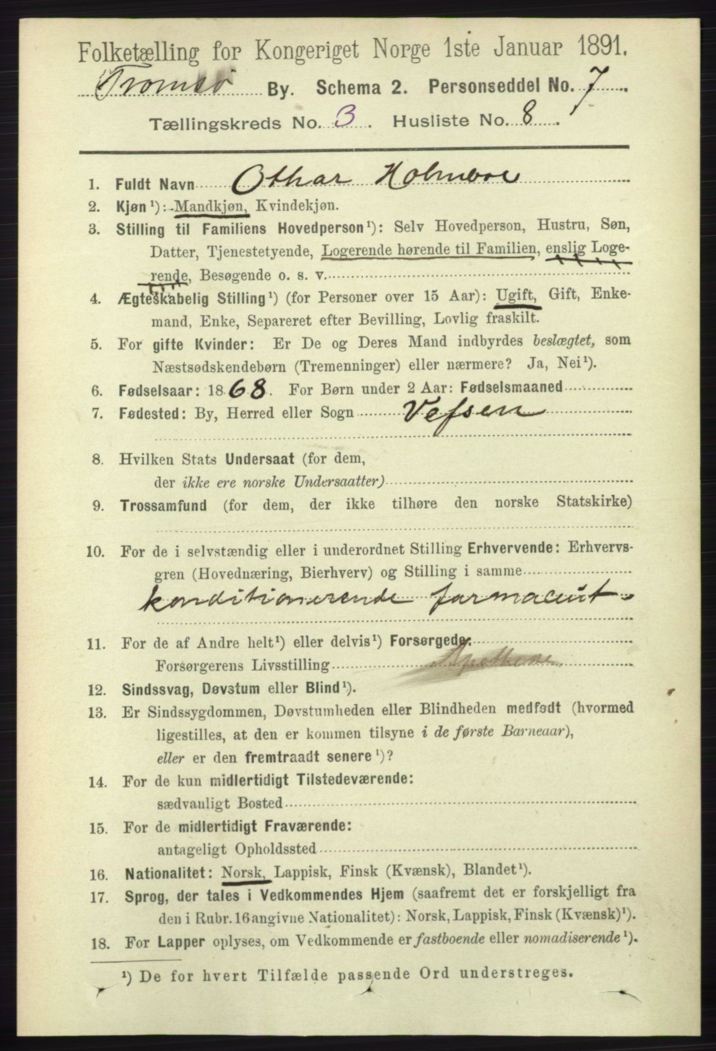 RA, 1891 census for 1902 Tromsø, 1891, p. 3250