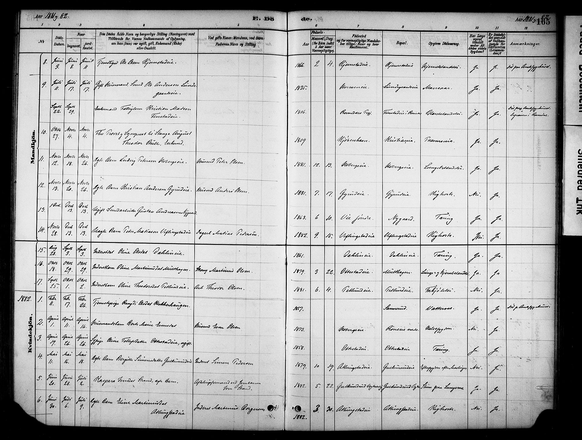 Stange prestekontor, SAH/PREST-002/K/L0019: Parish register (official) no. 19, 1880-1891, p. 165