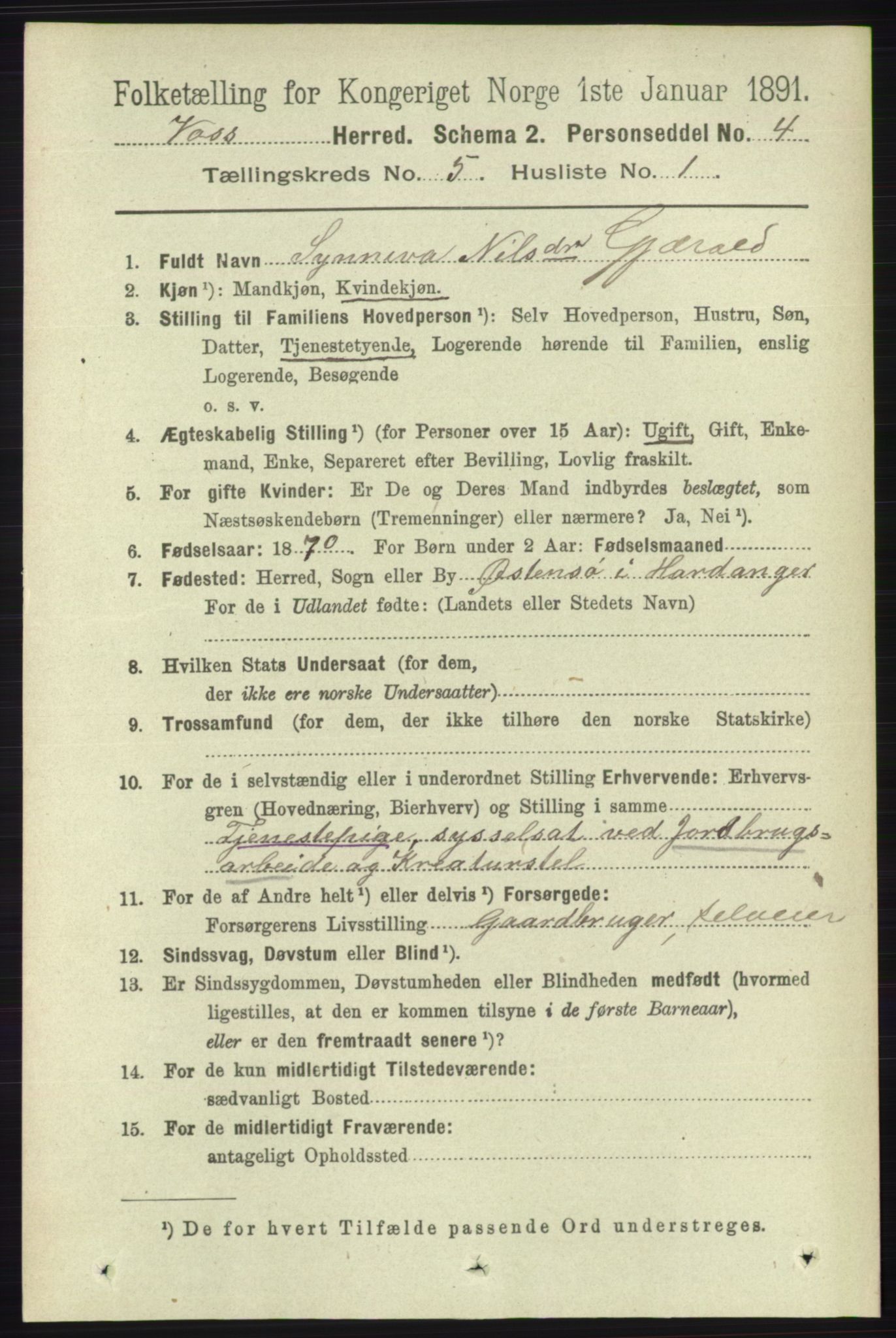 RA, 1891 census for 1235 Voss, 1891, p. 2705