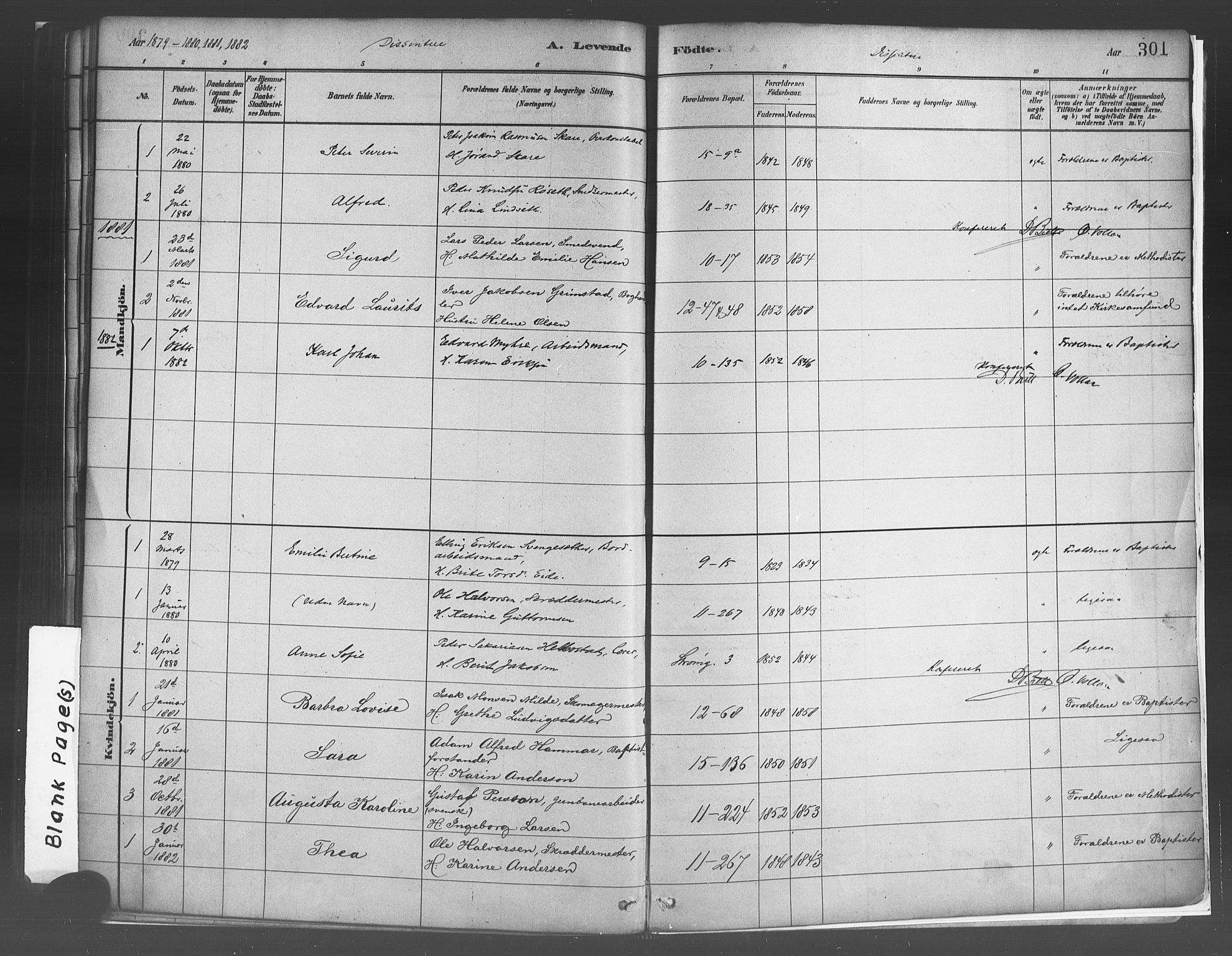 Domkirken sokneprestembete, SAB/A-74801/H/Haa/L0023: Parish register (official) no. B 6, 1879-1887, p. 301