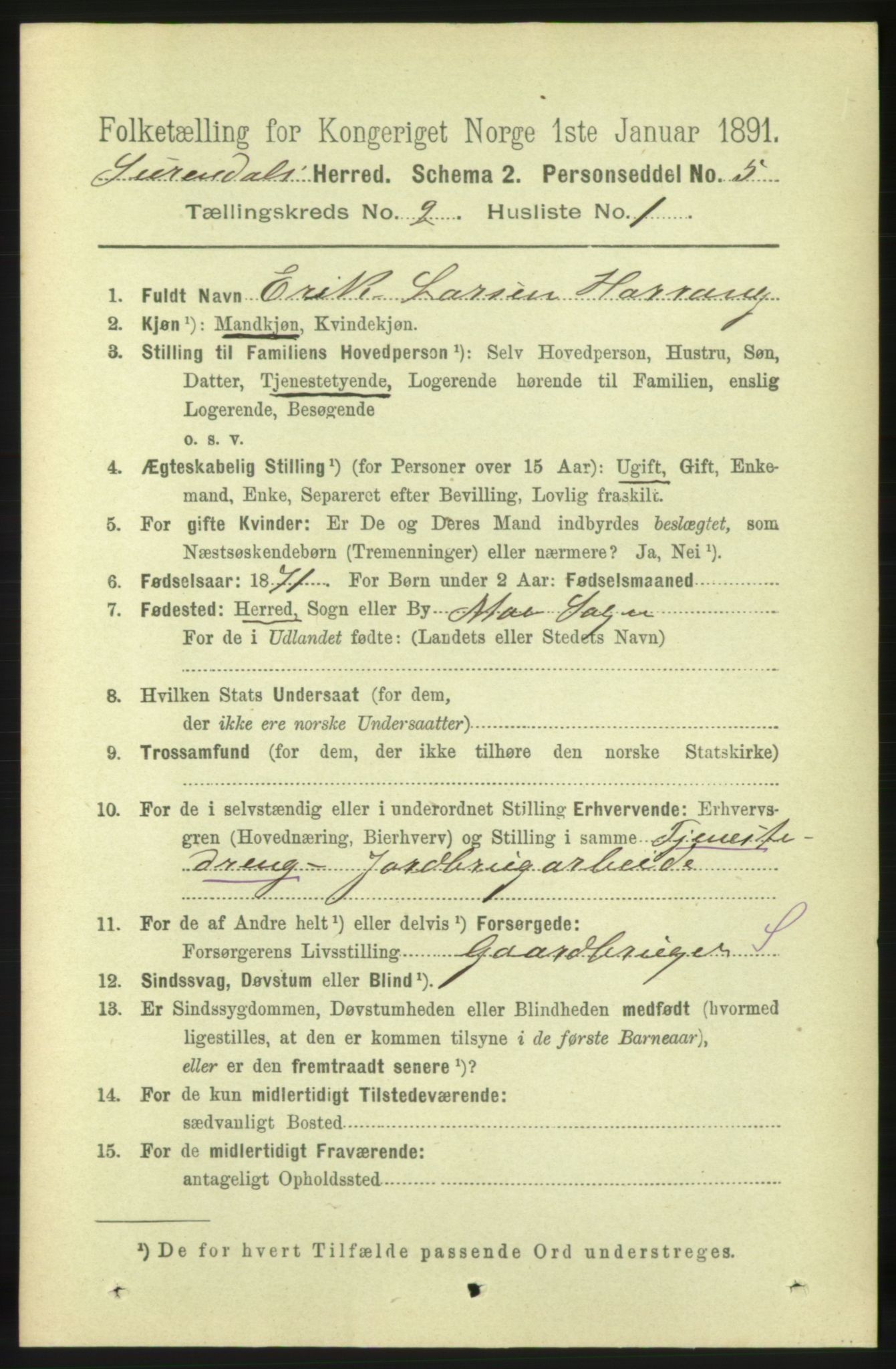 RA, 1891 census for 1566 Surnadal, 1891, p. 513