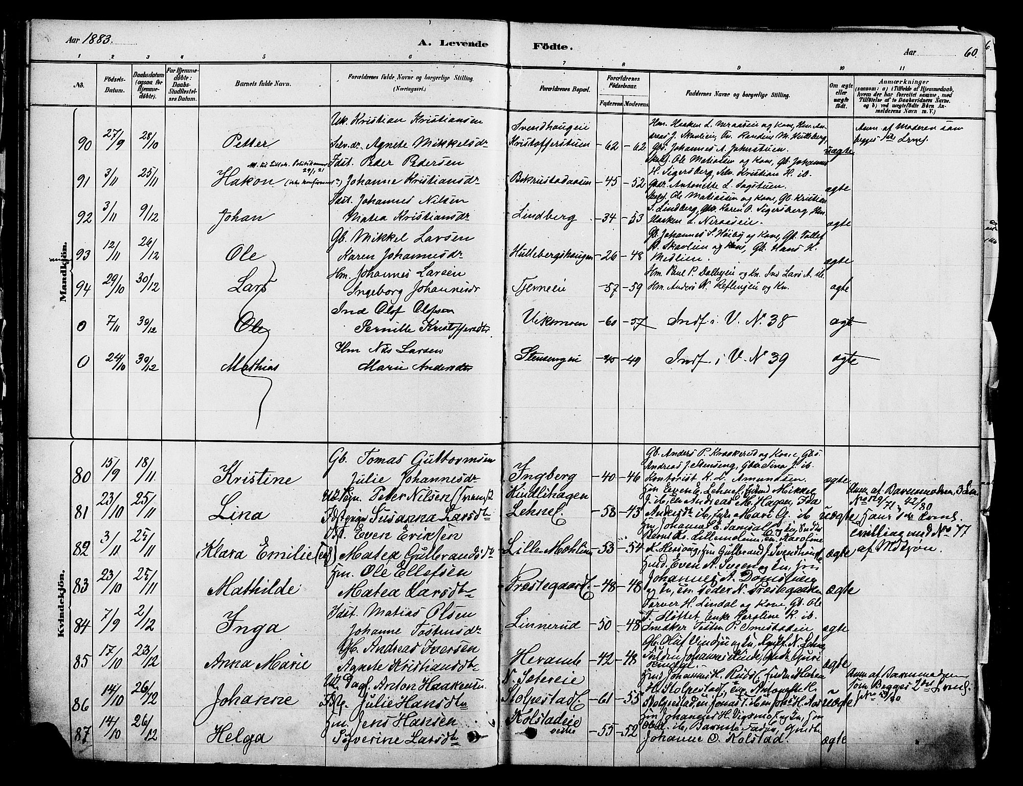 Ringsaker prestekontor, SAH/PREST-014/K/Ka/L0012: Parish register (official) no. 12, 1879-1890, p. 60