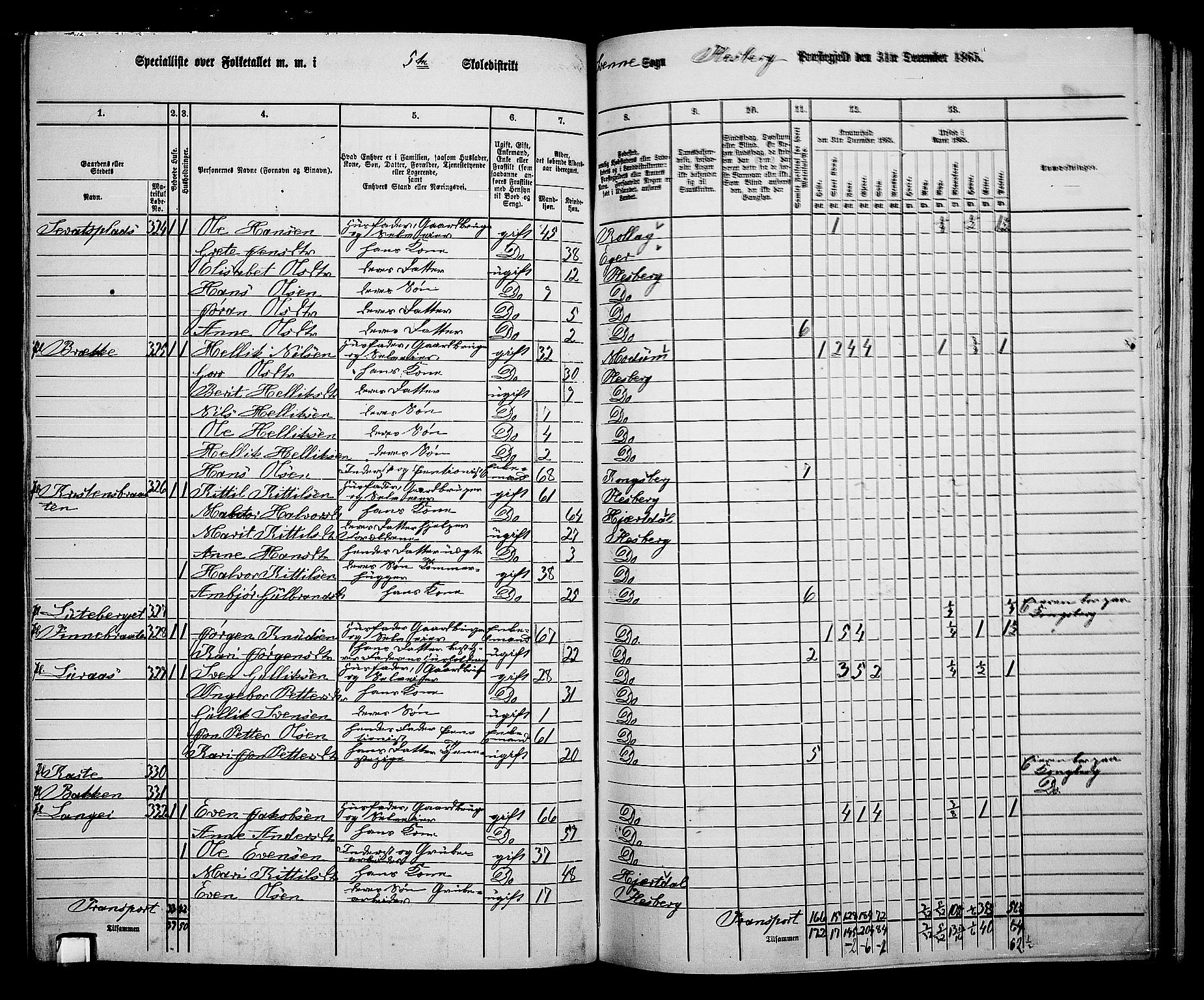 RA, 1865 census for Flesberg, 1865, p. 96