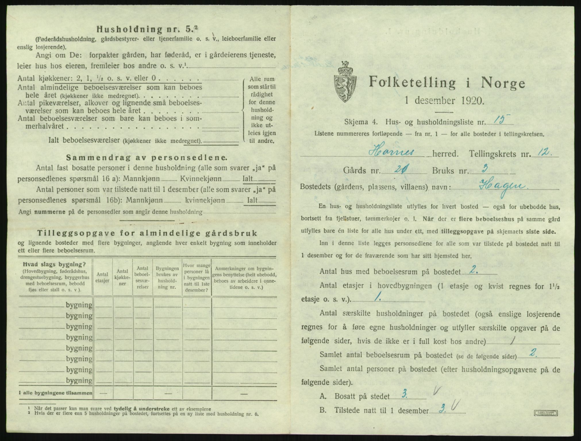 SAK, 1920 census for Hornnes, 1920, p. 501