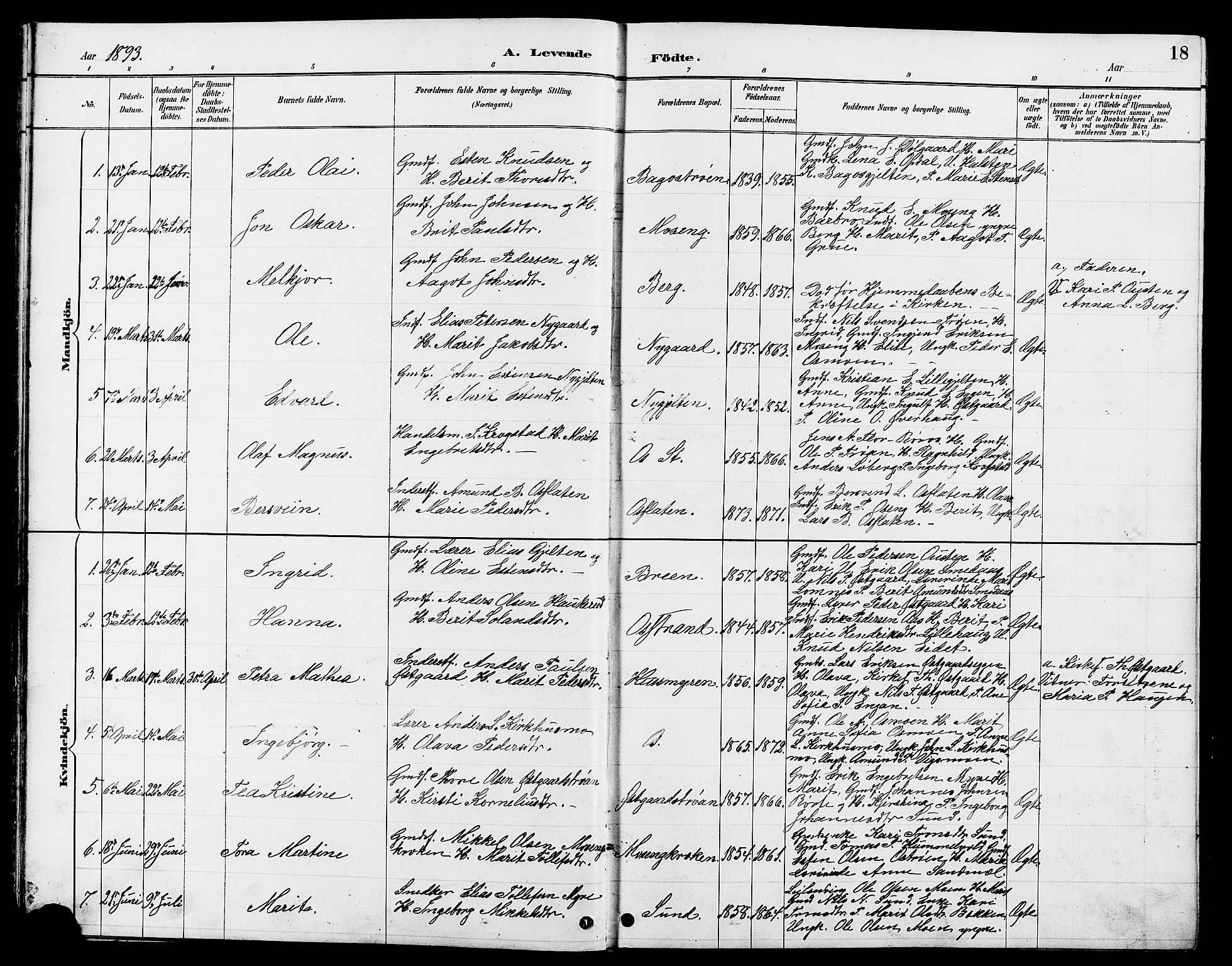 Tolga prestekontor, AV/SAH-PREST-062/L/L0008: Parish register (copy) no. 8, 1887-1912, p. 18