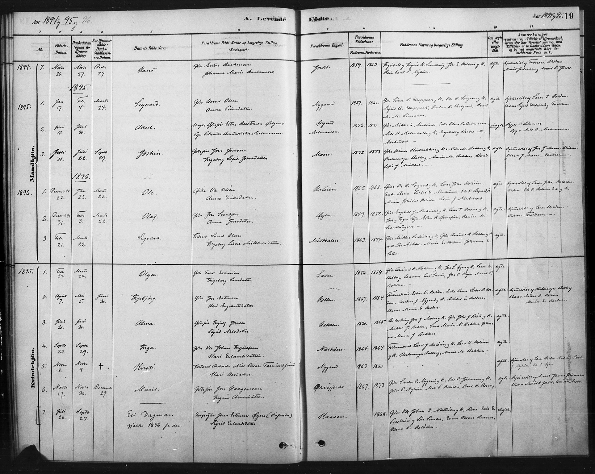 Tolga prestekontor, AV/SAH-PREST-062/K/L0007: Parish register (official) no. 7, 1877-1900, p. 19