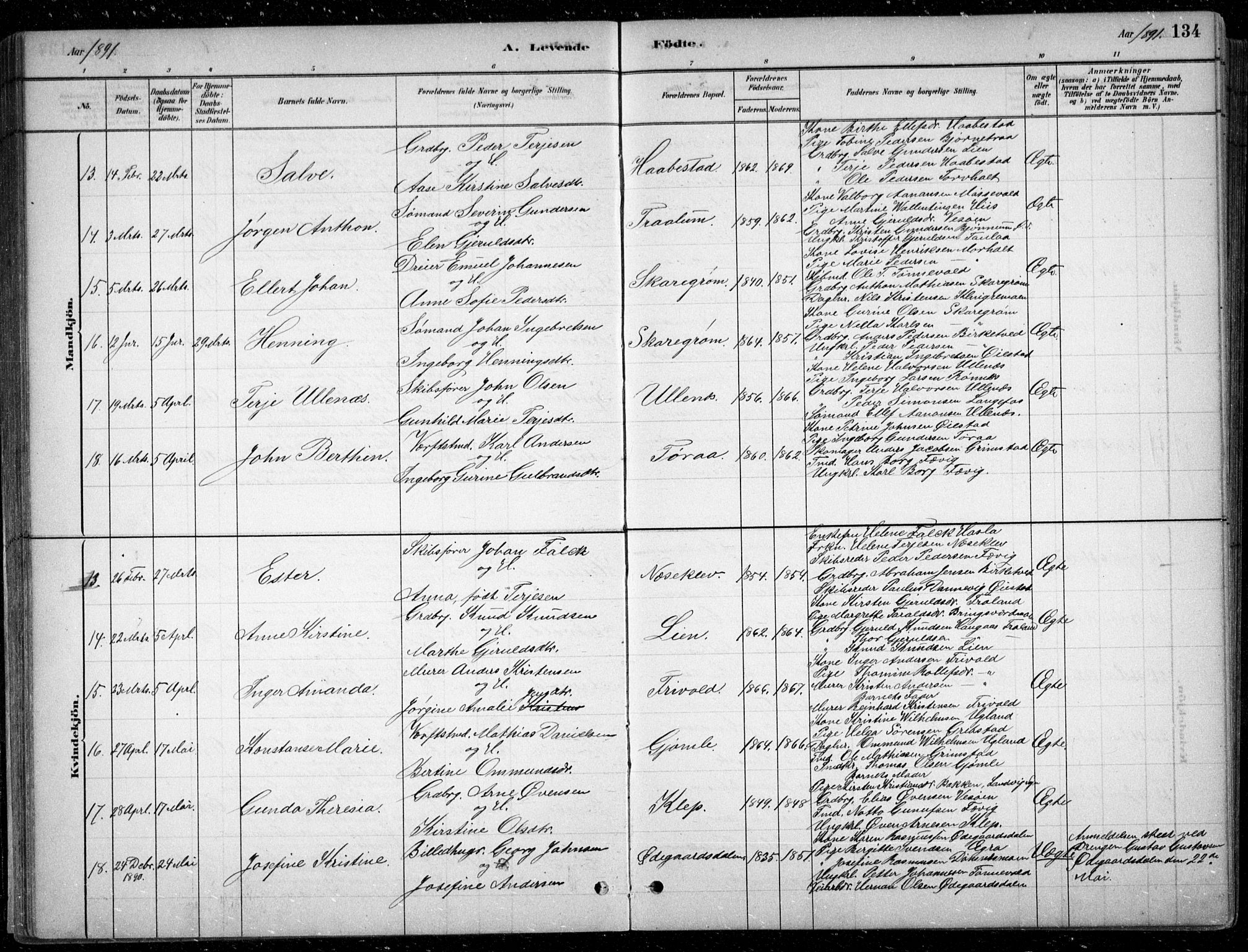 Fjære sokneprestkontor, SAK/1111-0011/F/Fb/L0011: Parish register (copy) no. B 11, 1881-1905, p. 134
