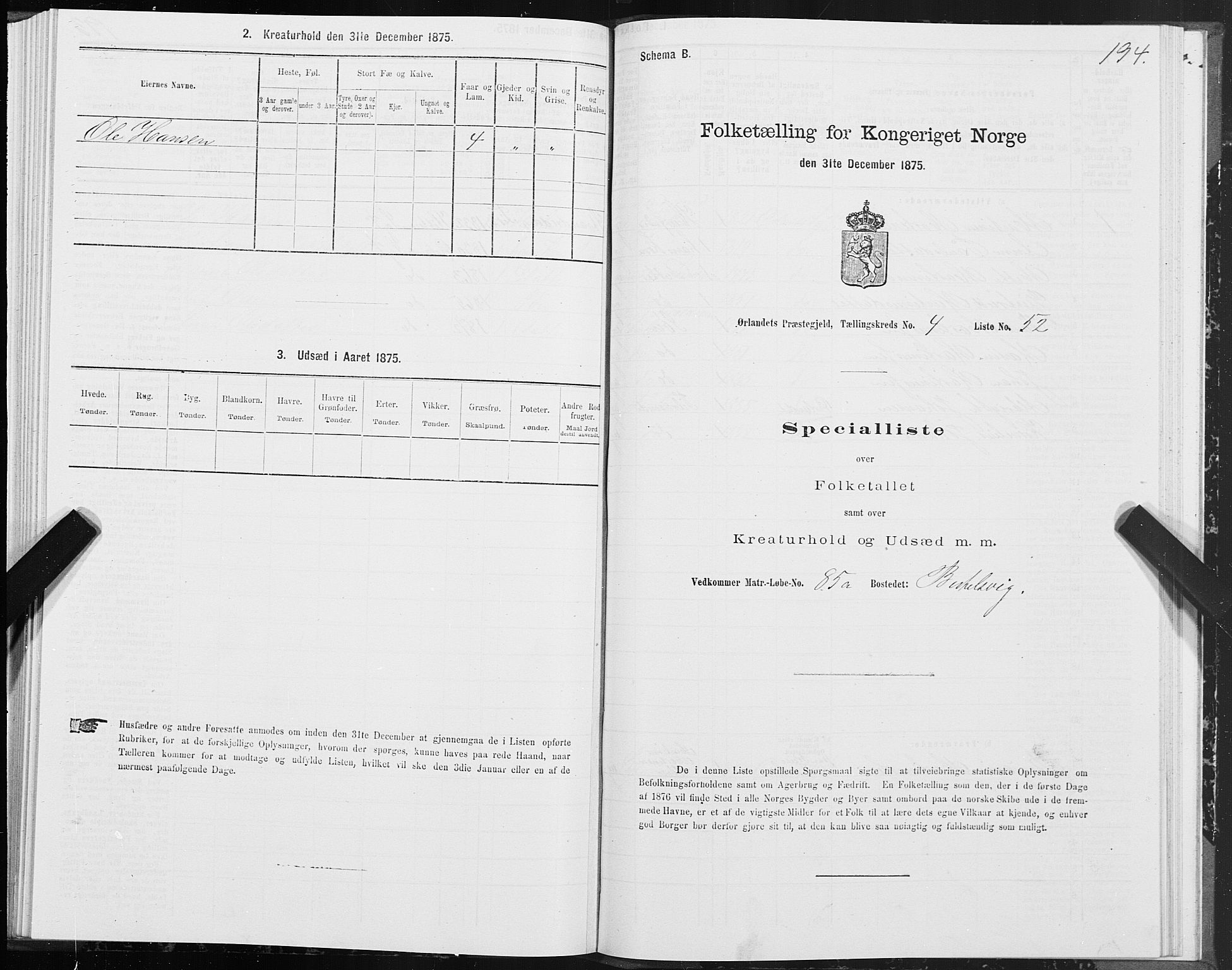 SAT, 1875 census for 1621P Ørland, 1875, p. 2194