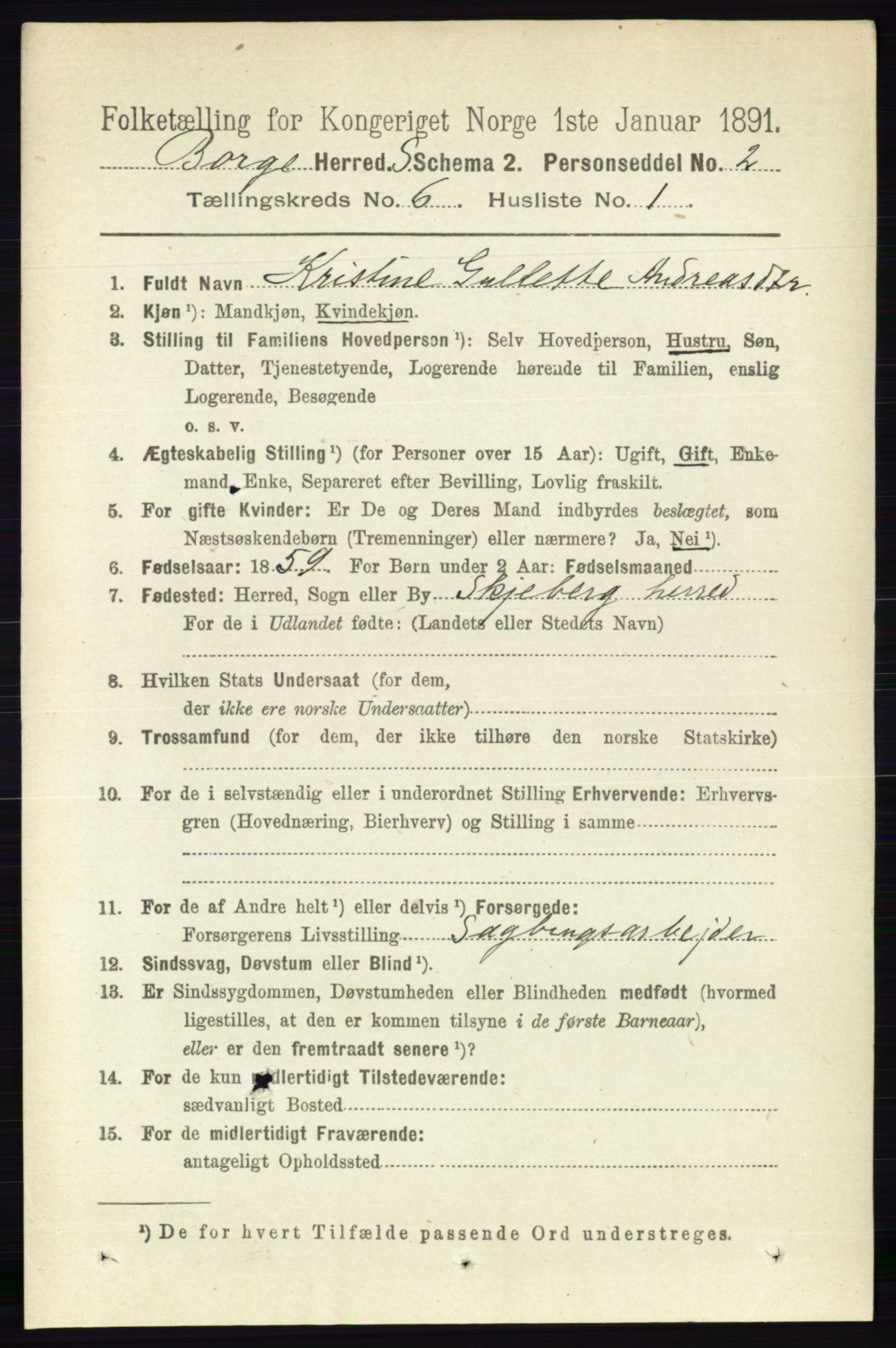 RA, 1891 census for 0113 Borge, 1891, p. 3037