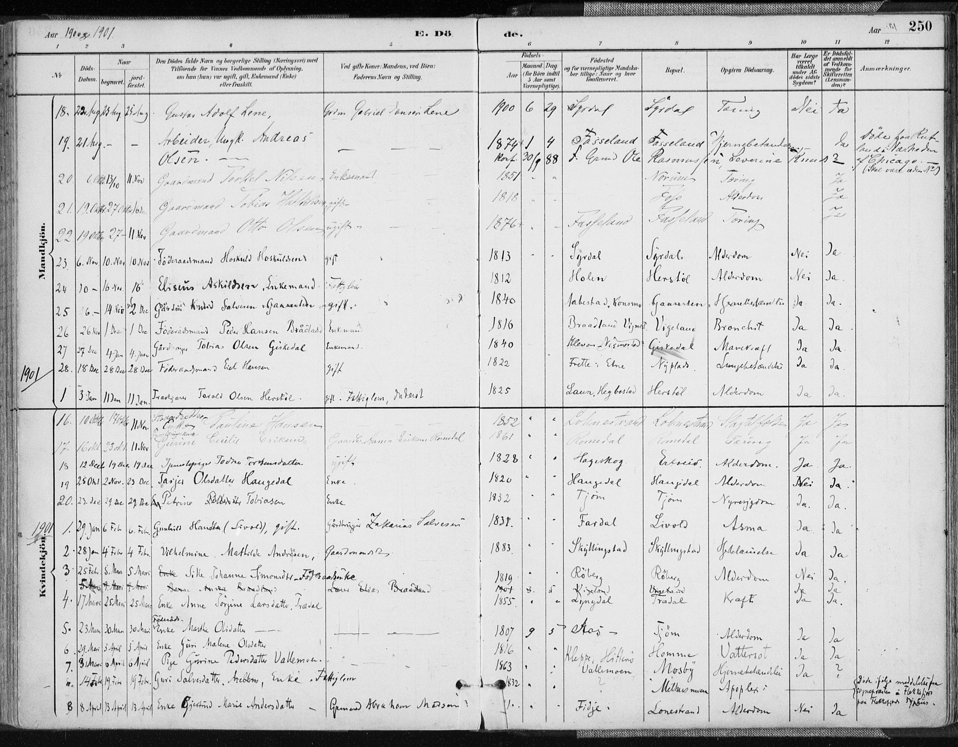 Sør-Audnedal sokneprestkontor, AV/SAK-1111-0039/F/Fa/Fab/L0010: Parish register (official) no. A 10, 1892-1913, p. 250