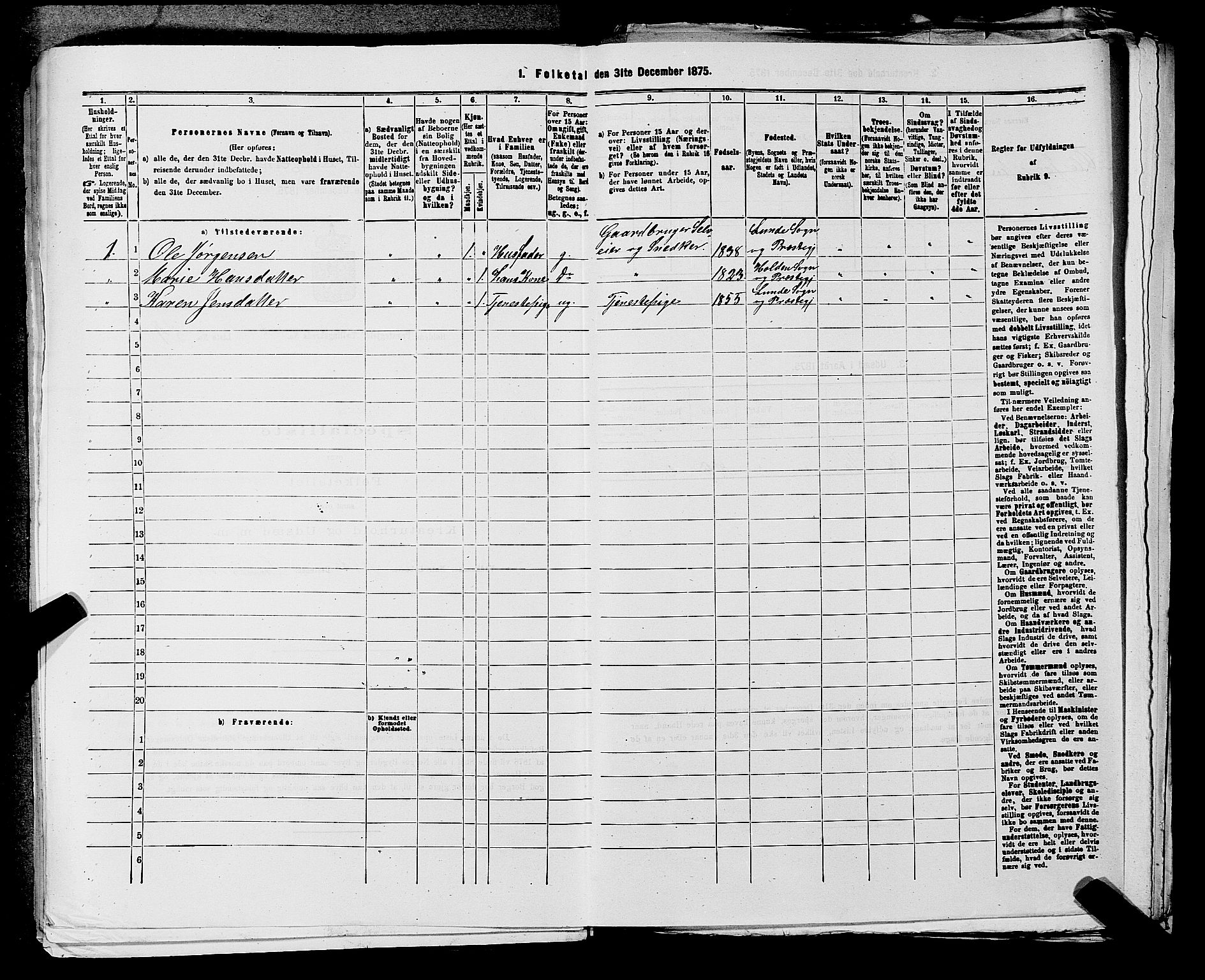 SAKO, 1875 census for 0819P Holla, 1875, p. 1073