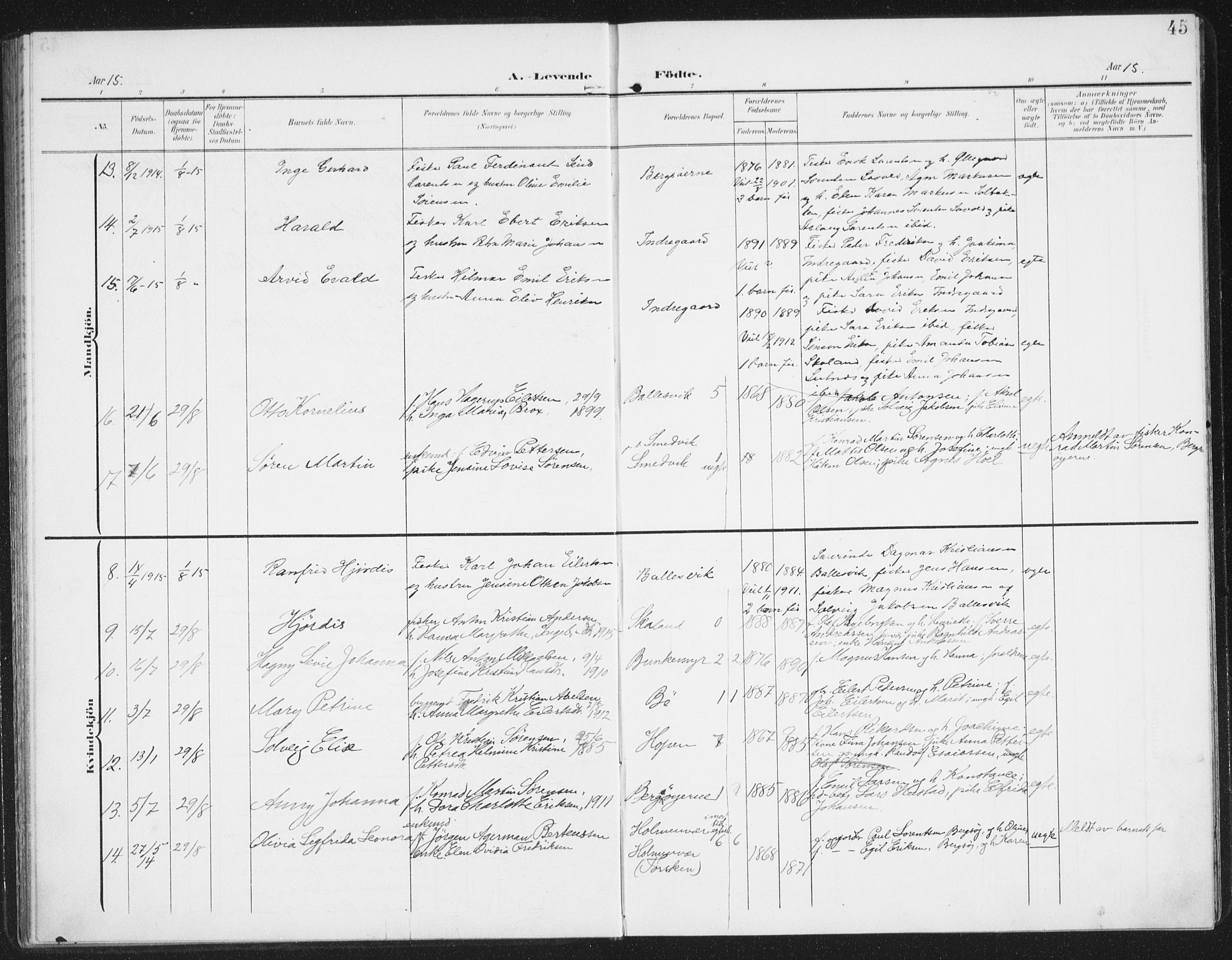 Berg sokneprestkontor, SATØ/S-1318/G/Ga/Gaa/L0007kirke: Parish register (official) no. 7, 1906-1915, p. 45