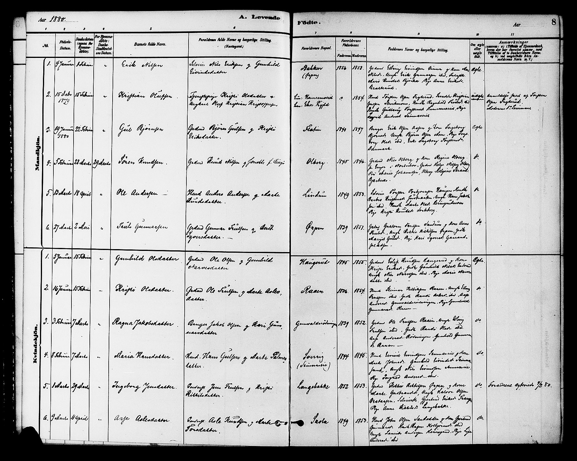 Krødsherad kirkebøker, AV/SAKO-A-19/G/Ga/L0001: Parish register (copy) no. 1, 1879-1893, p. 8